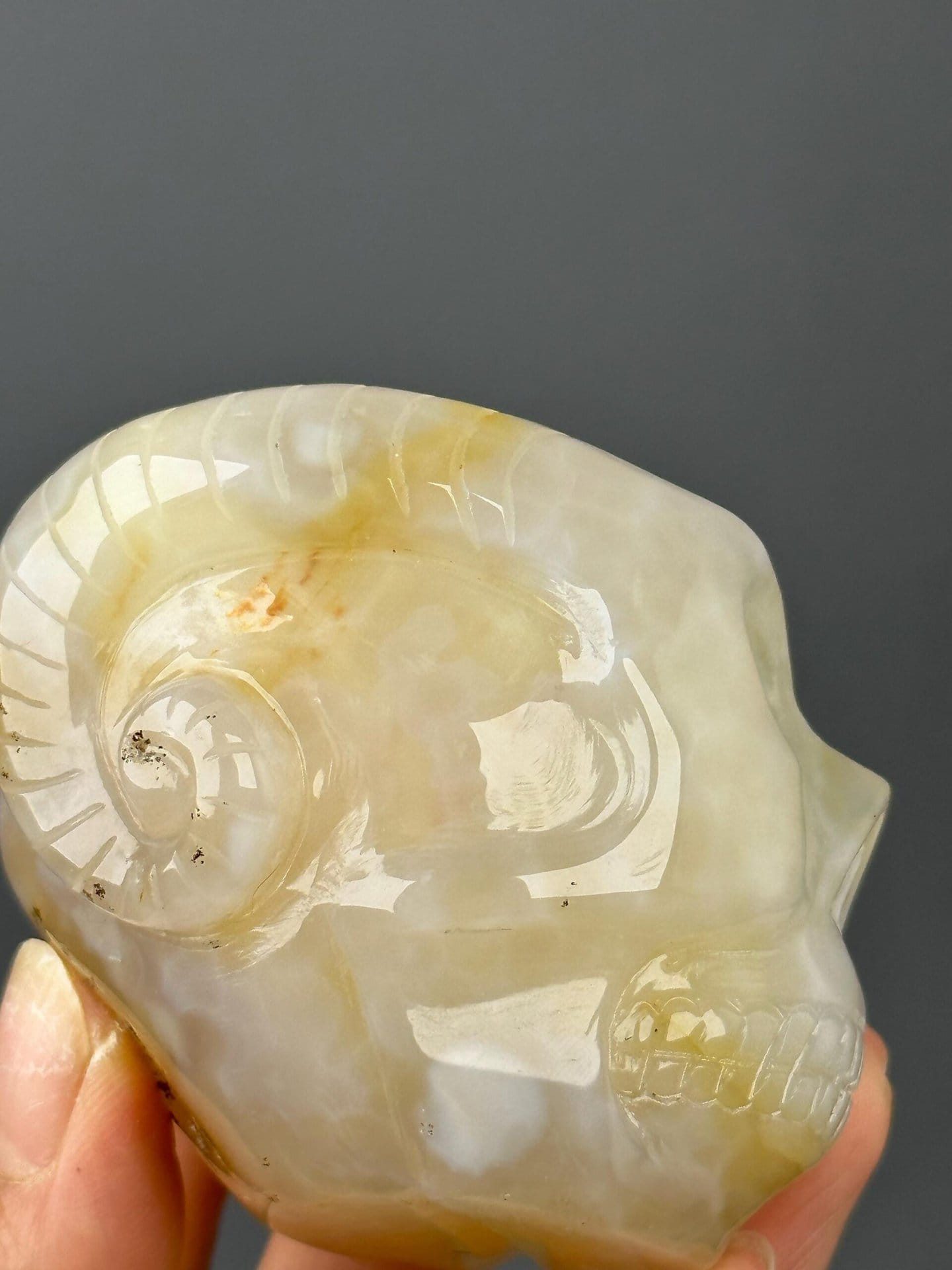 Banded agate pattern on carved skull surface