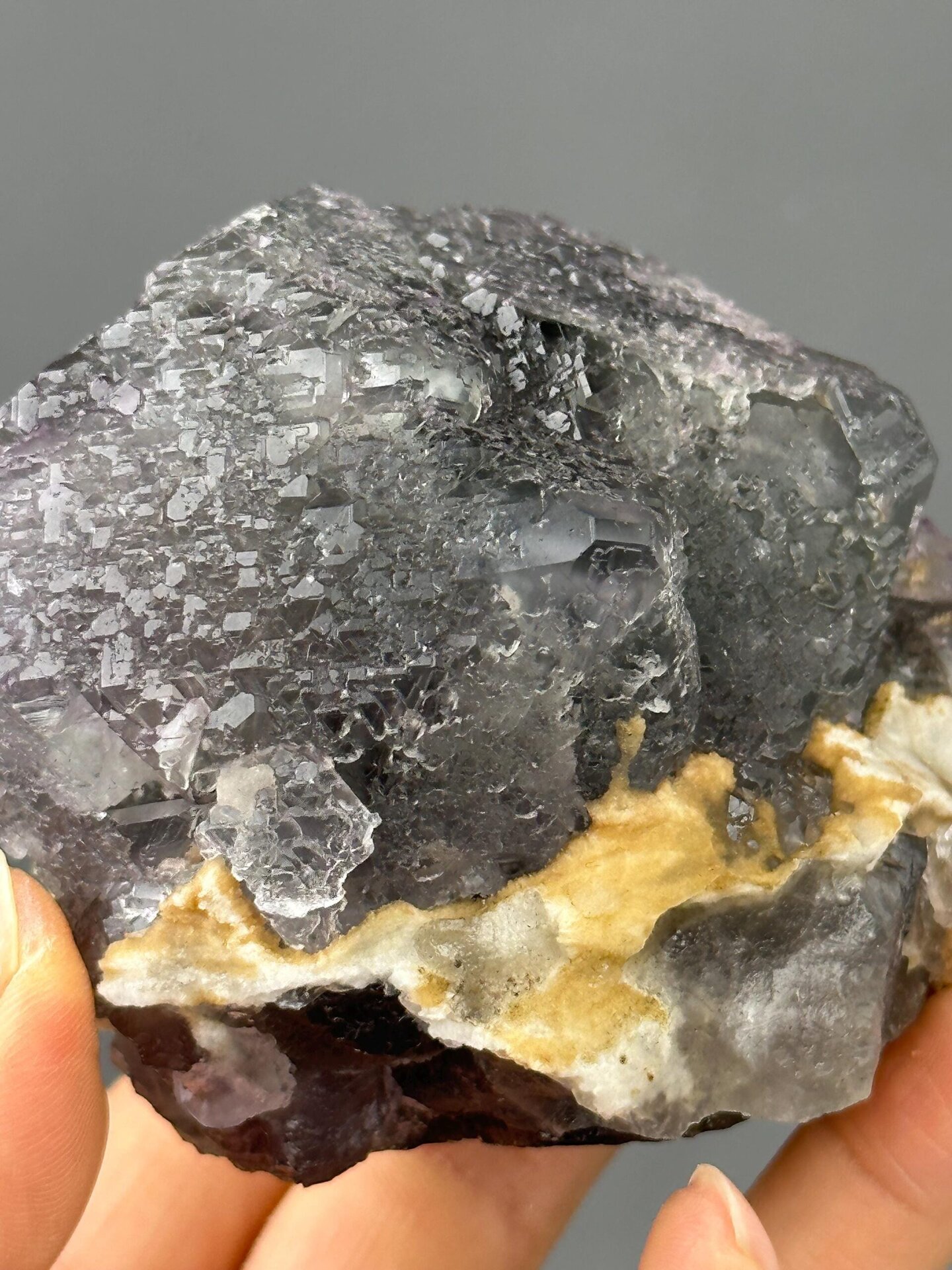 Prominent purple phantom zoning inside twin fluorite close-up
