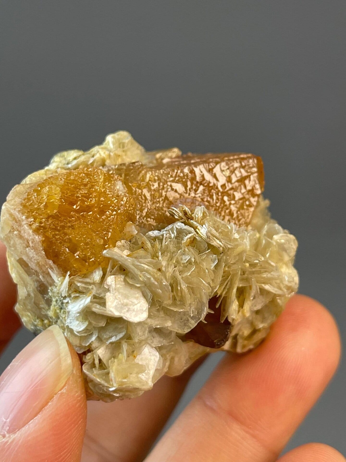 Calcium tungstate scheelite with octahedral twin on matrix