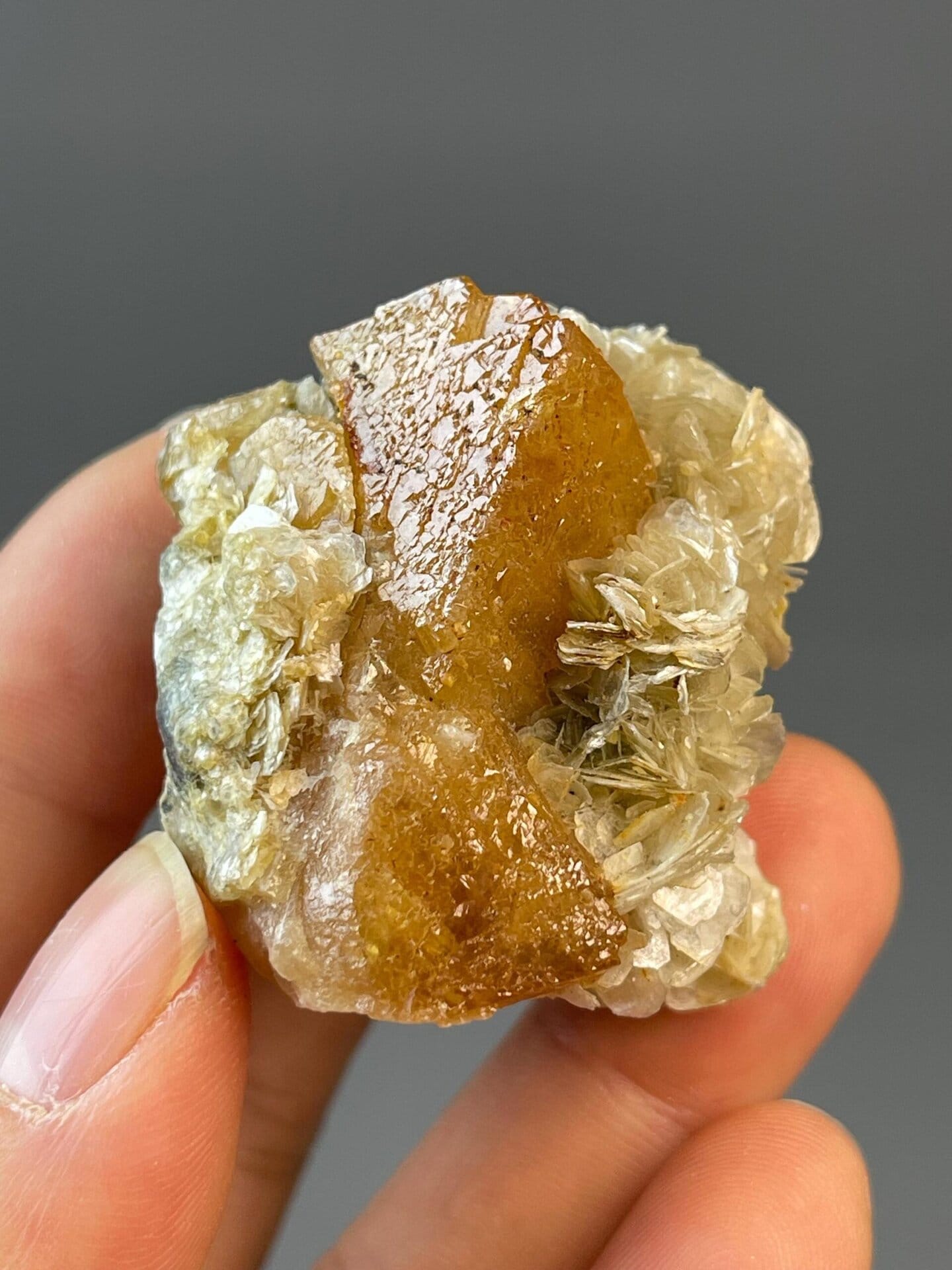 Twinned scheelite crystals with octahedral habit on matrix