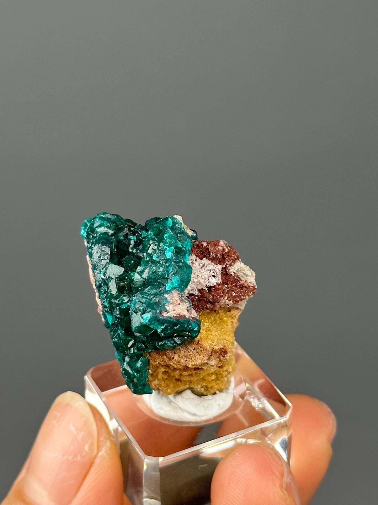 Dioptase crystals on matrix Congo front view