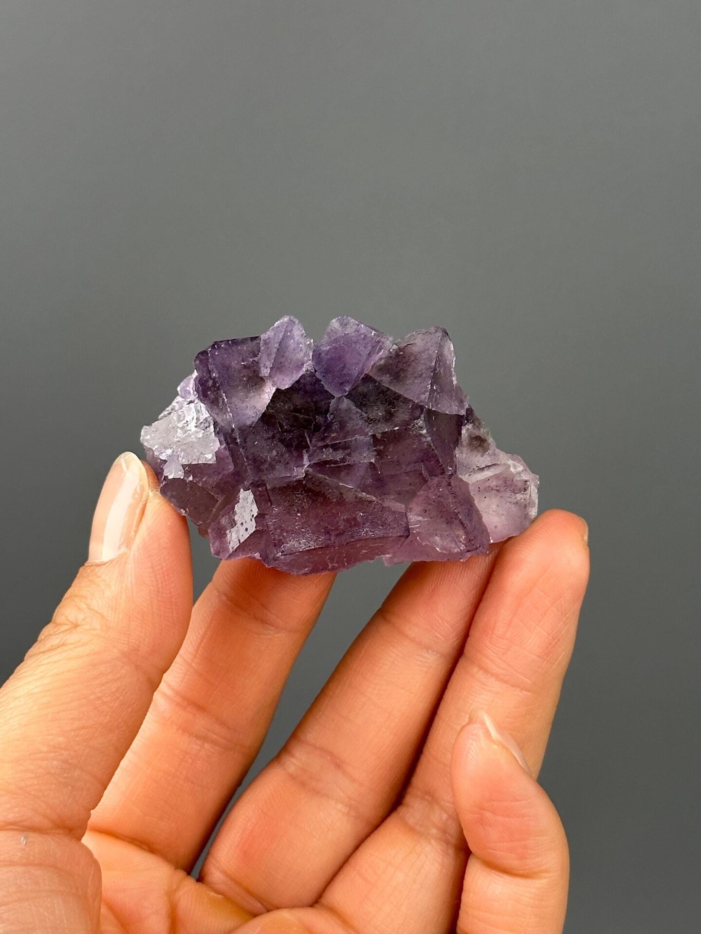 Phantom zoning inside purple twin fluorite close-up