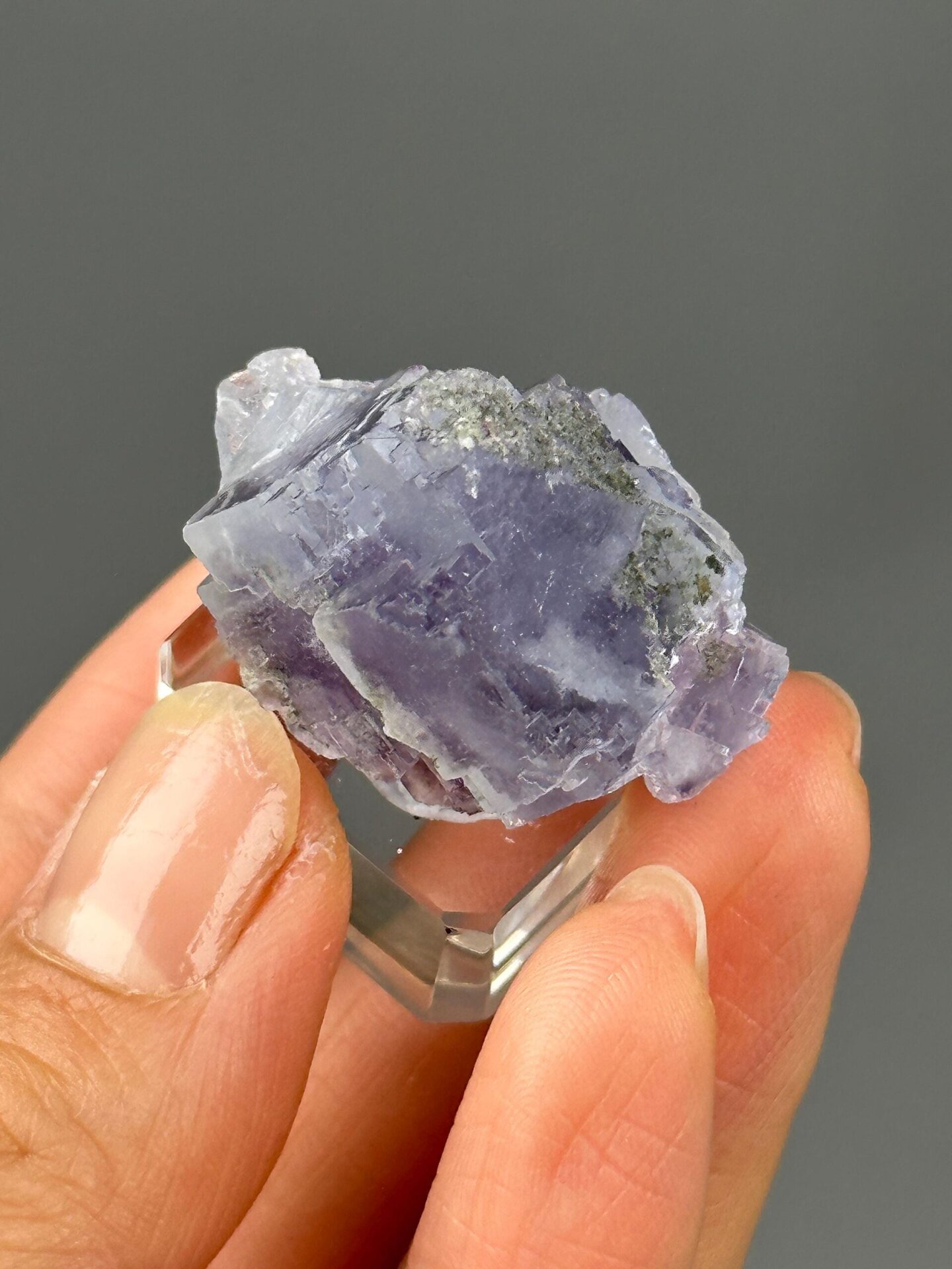 Full light purple twin fluorite specimen on white background