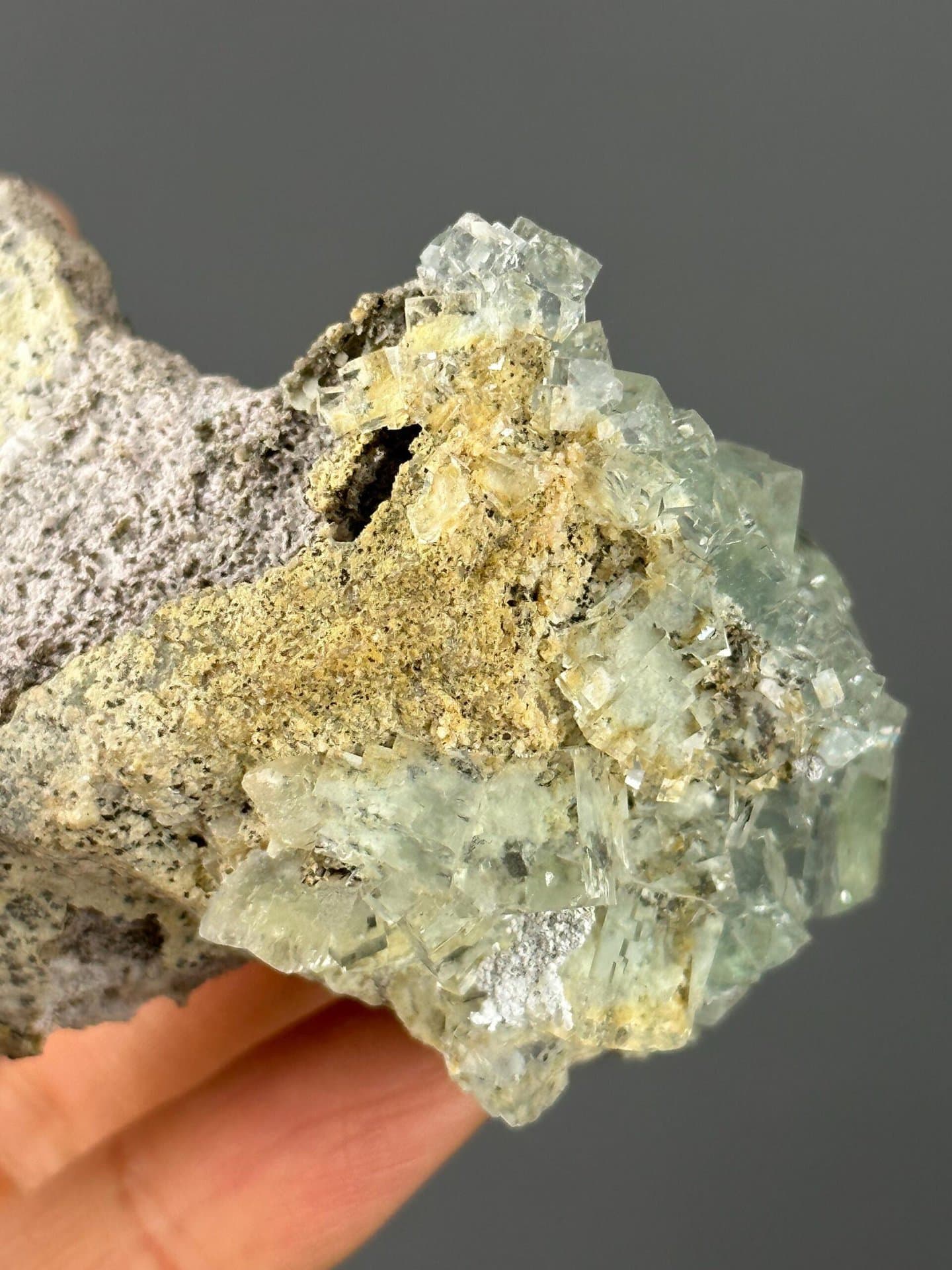 Xianghualing mushroom fluorite under studio lighting