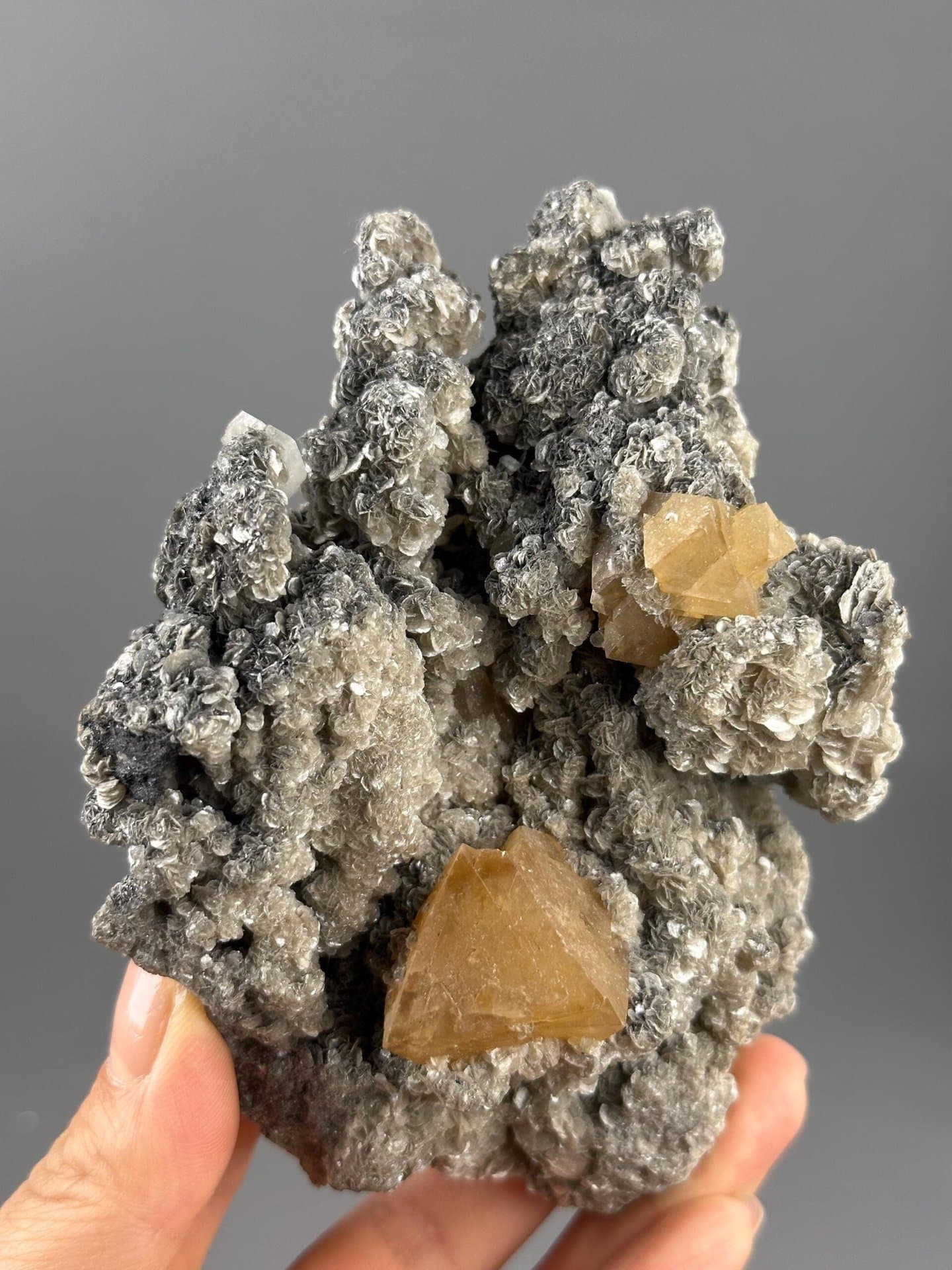 Mica matrix base with scheelite crystal