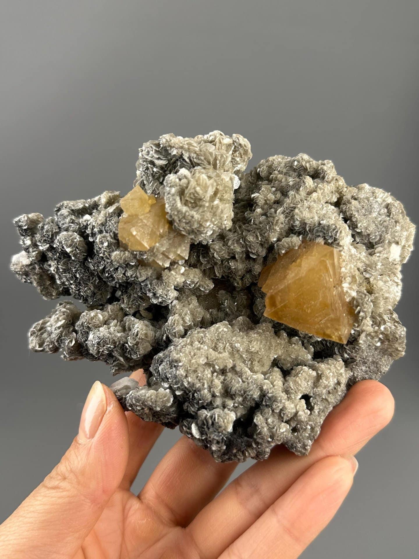 Scheelite Sichuan scale reference large specimen