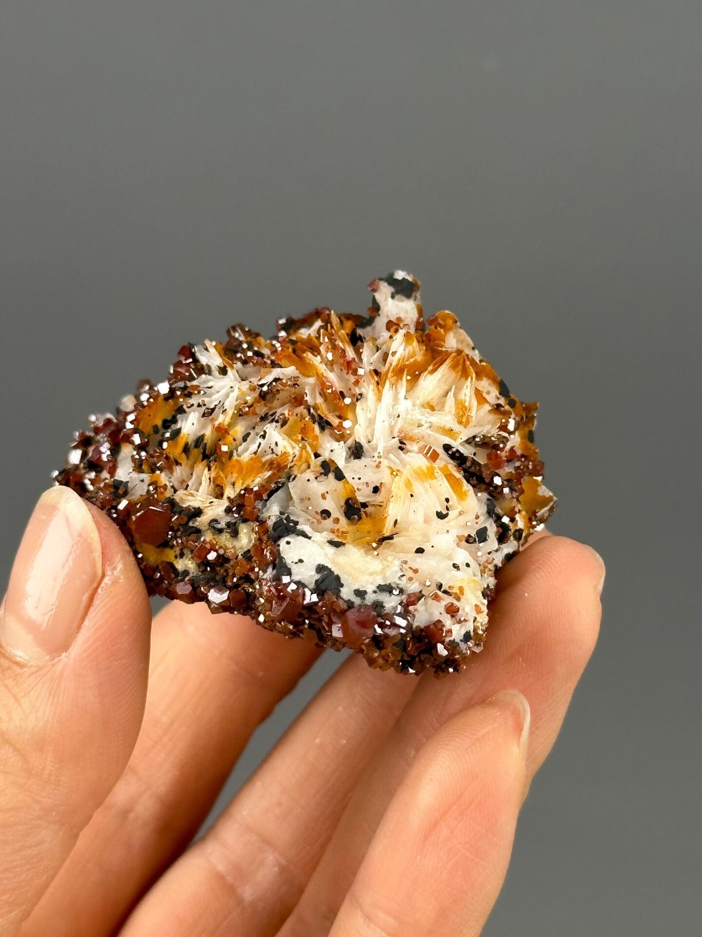 Scale reference of vibrant red vanadinite from Morocco