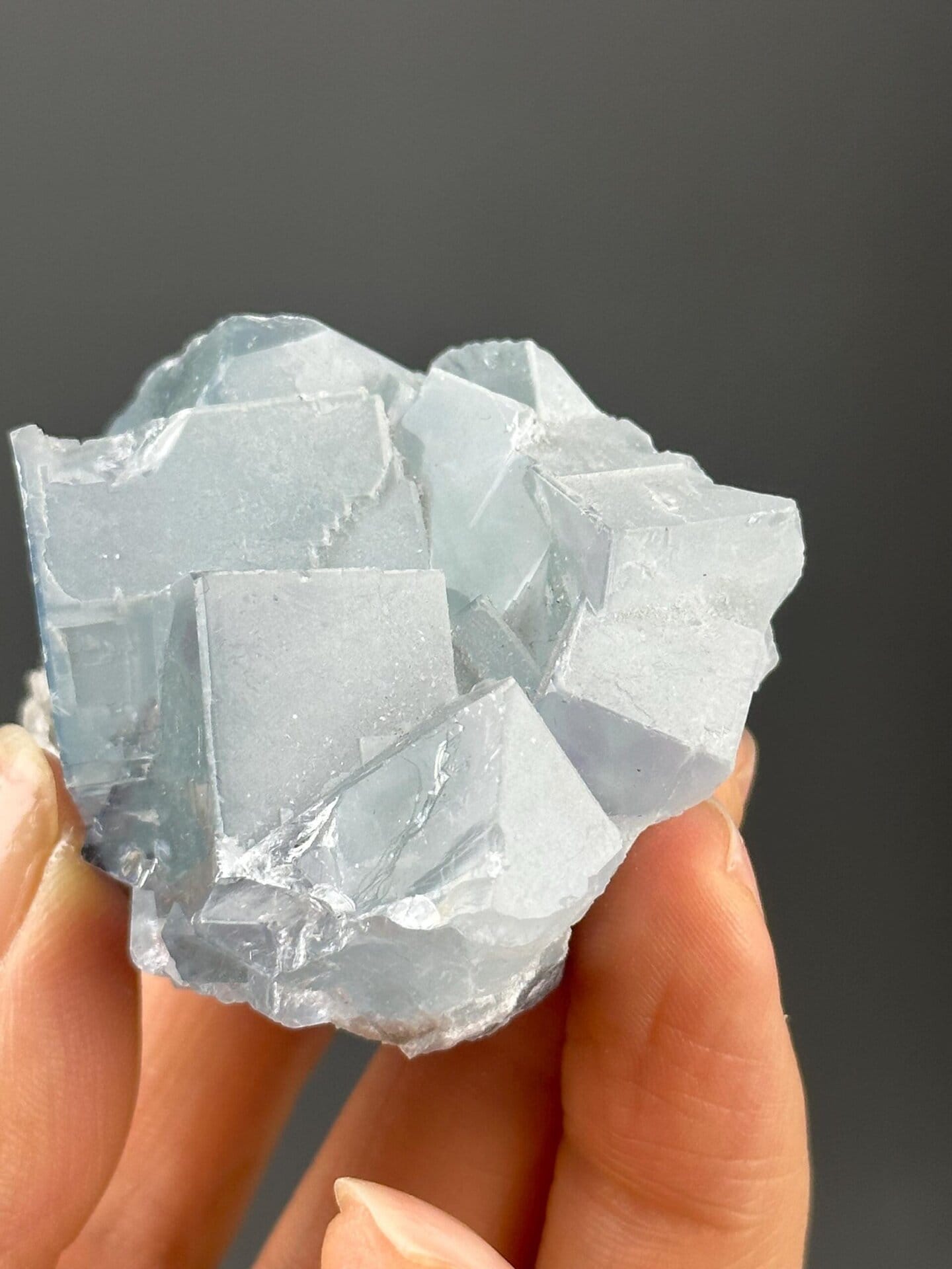 Back view of twin fluorite crystal specimen