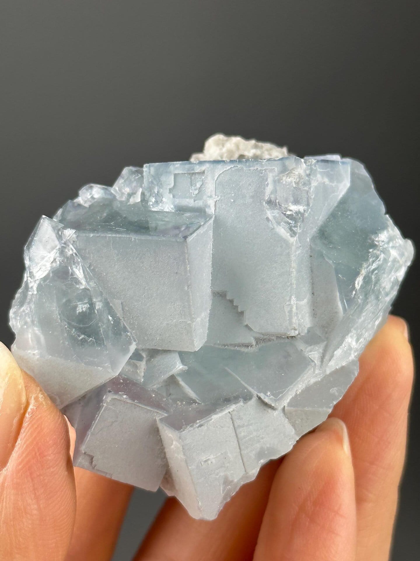 Vitreous luster on bicolor twin fluorite faces