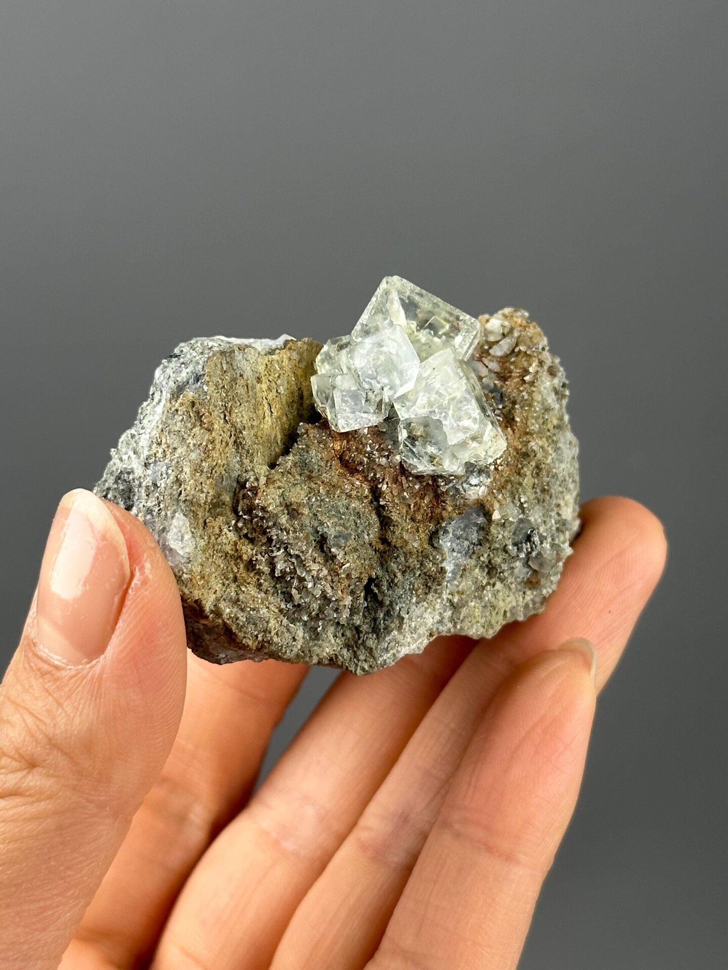 Scale reference of green fluorite crystal on matrix