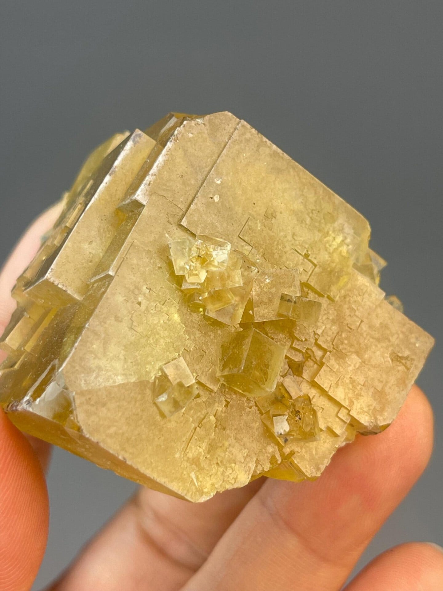 Warm yellow CaF₂ fluorite with defined cubic crystal faces