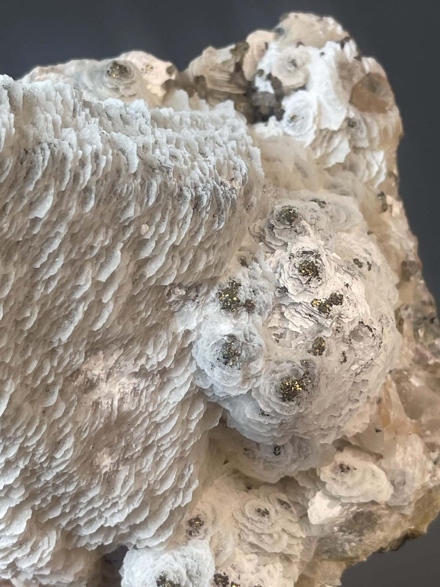 Rare floral petal calcite habit with sparkling pyrite accents