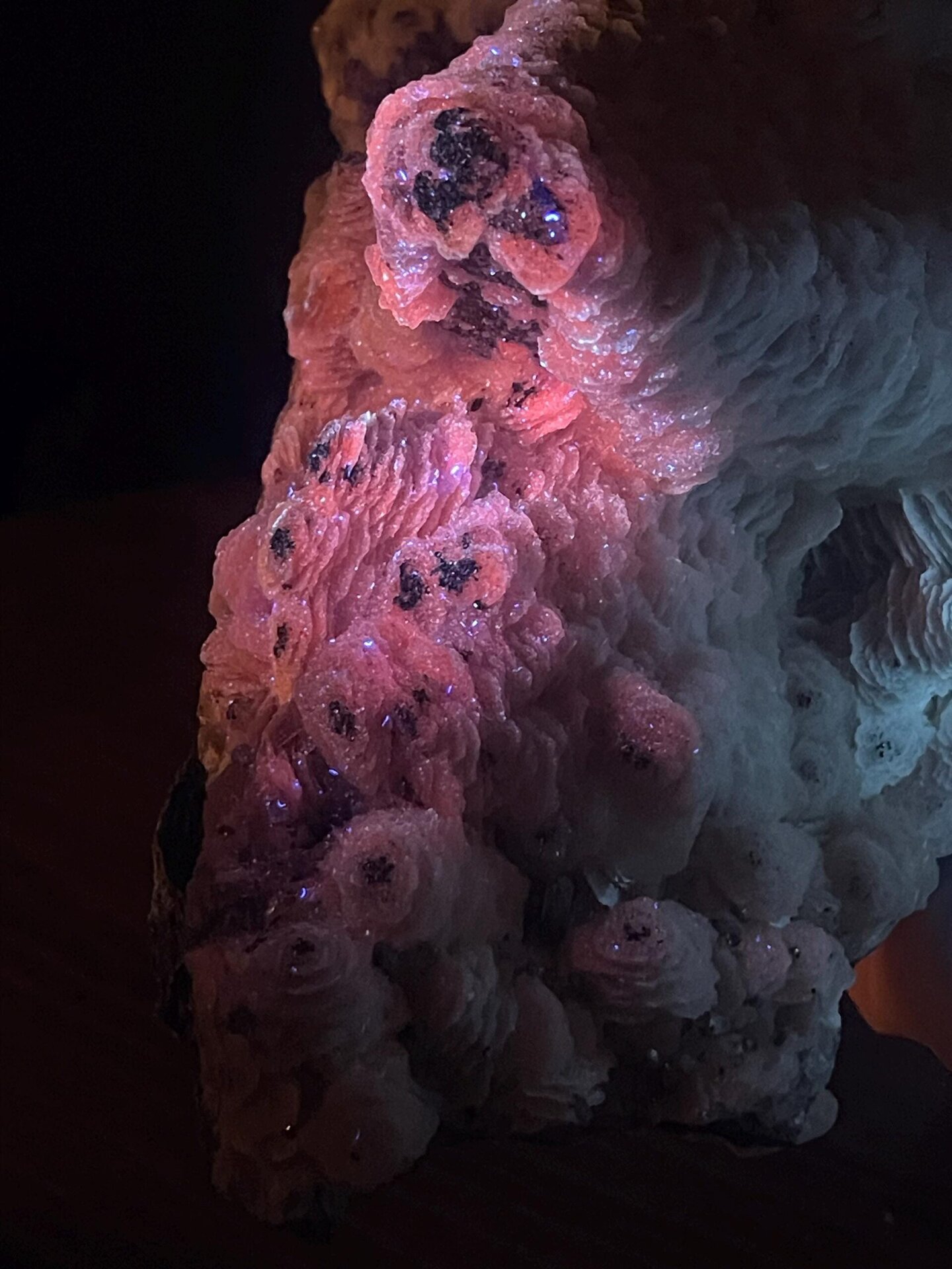 Calcite with petal-like crystal growth and metallic pyrite