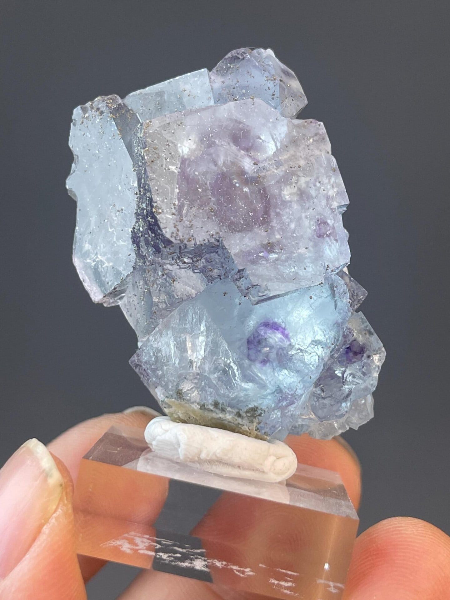 CaF₂ isometric fluorite with internal phantom and associated pyrite