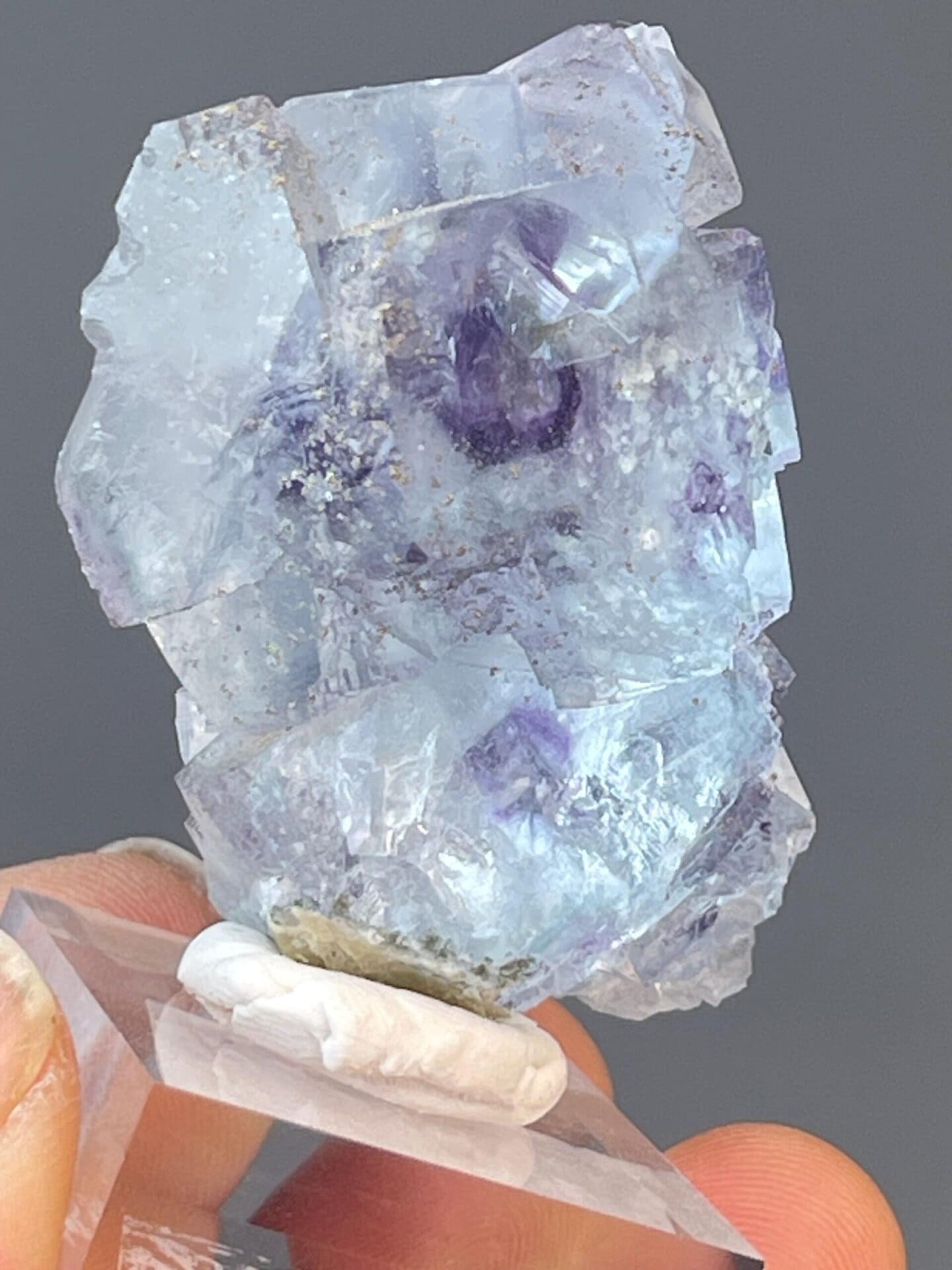 Fluorite with phantom growth outline and metallic pyrite