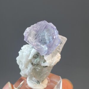 Blue Rose Fluorite Quartz - Bicolor Elegance - Yao Gang Xian Origin - Collectible Mineral Gem