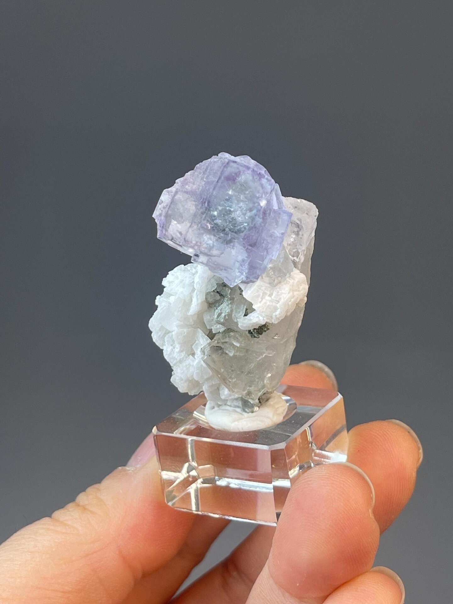 Blue CaF₂ fluorite rose form with white quartz crystals
