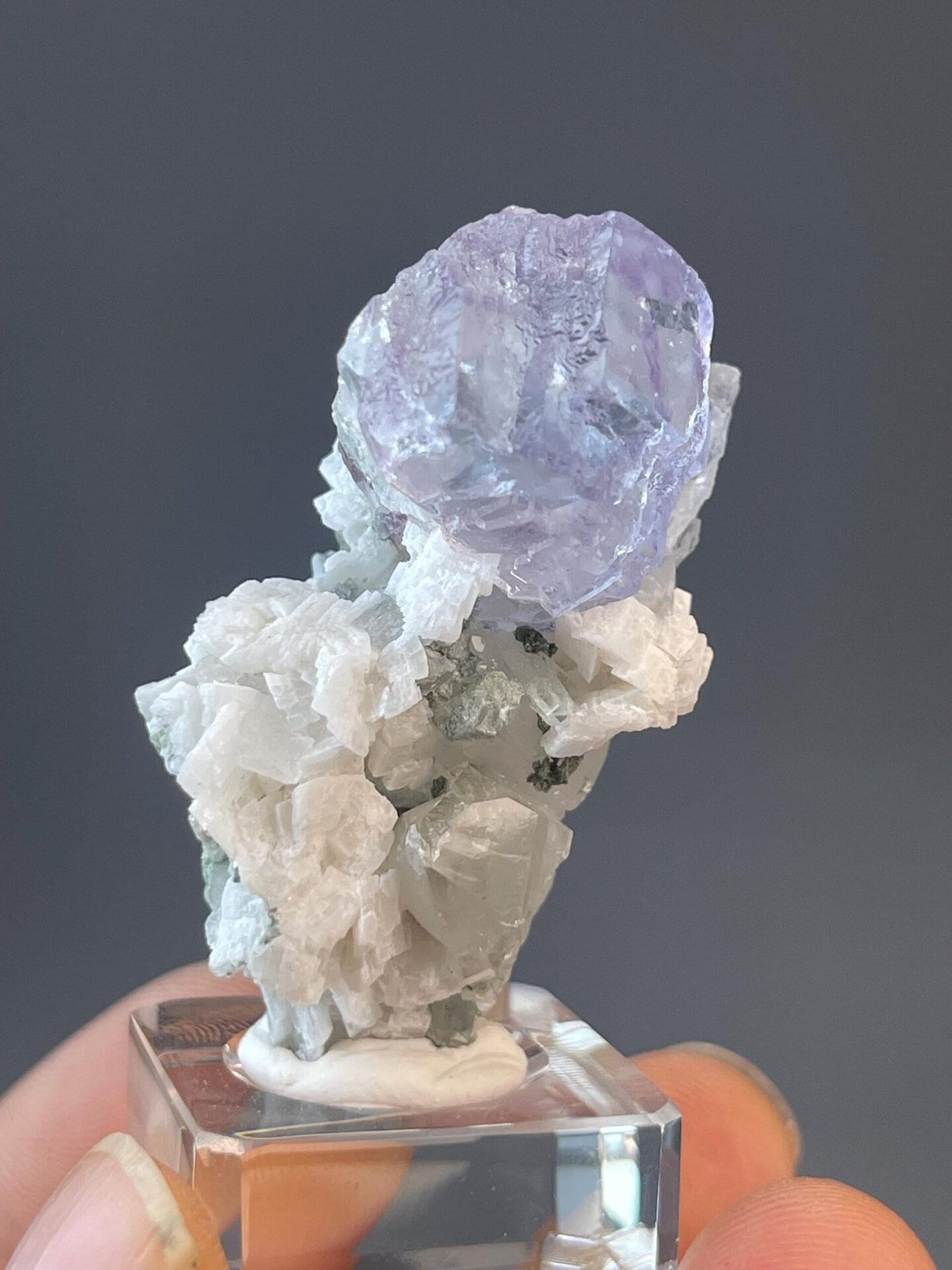 Fluorite forming rose habit with quartz, Yaogangxian origin