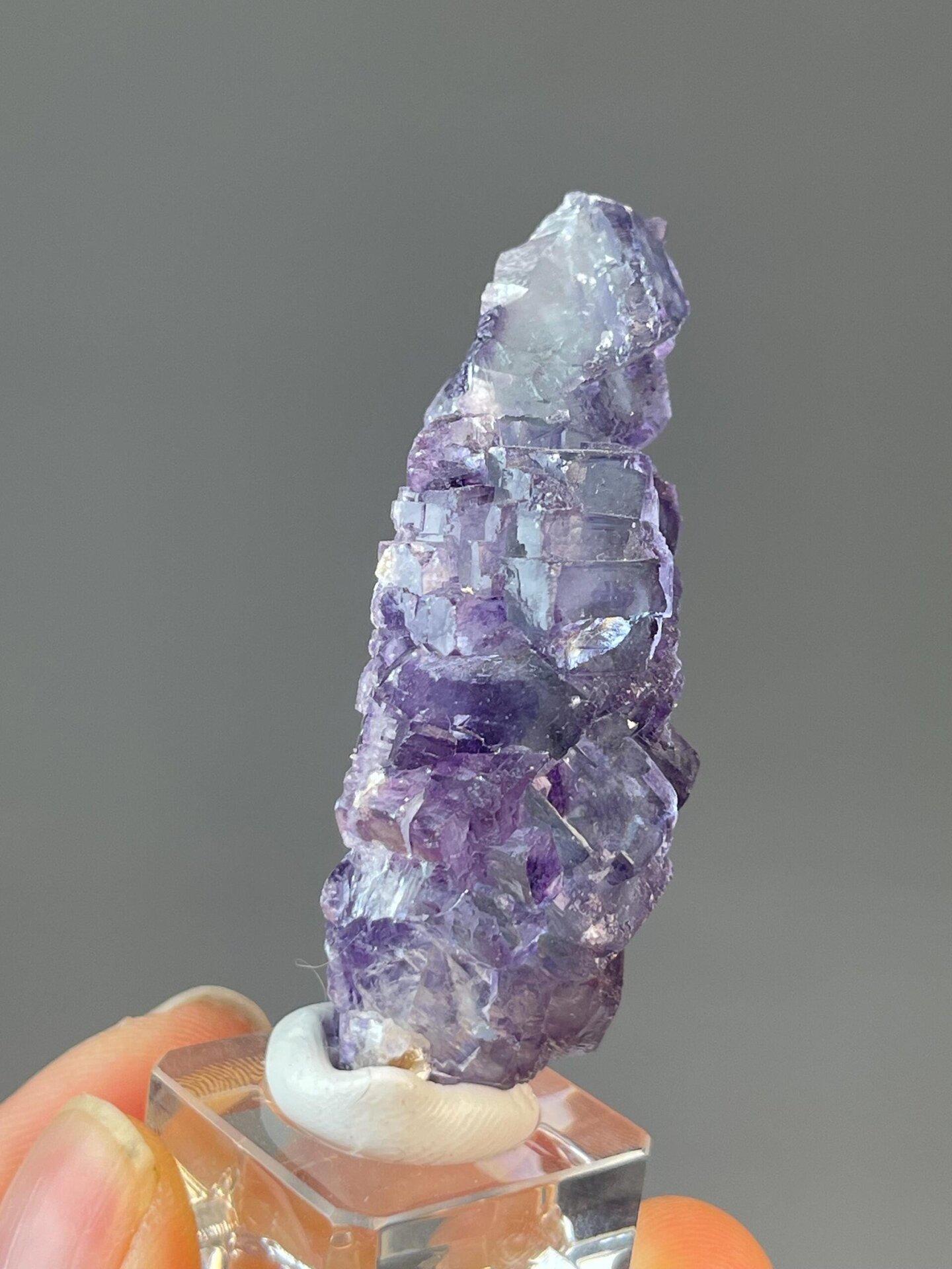 Fluorite with unusual arborescent tree-like twinned crystal form