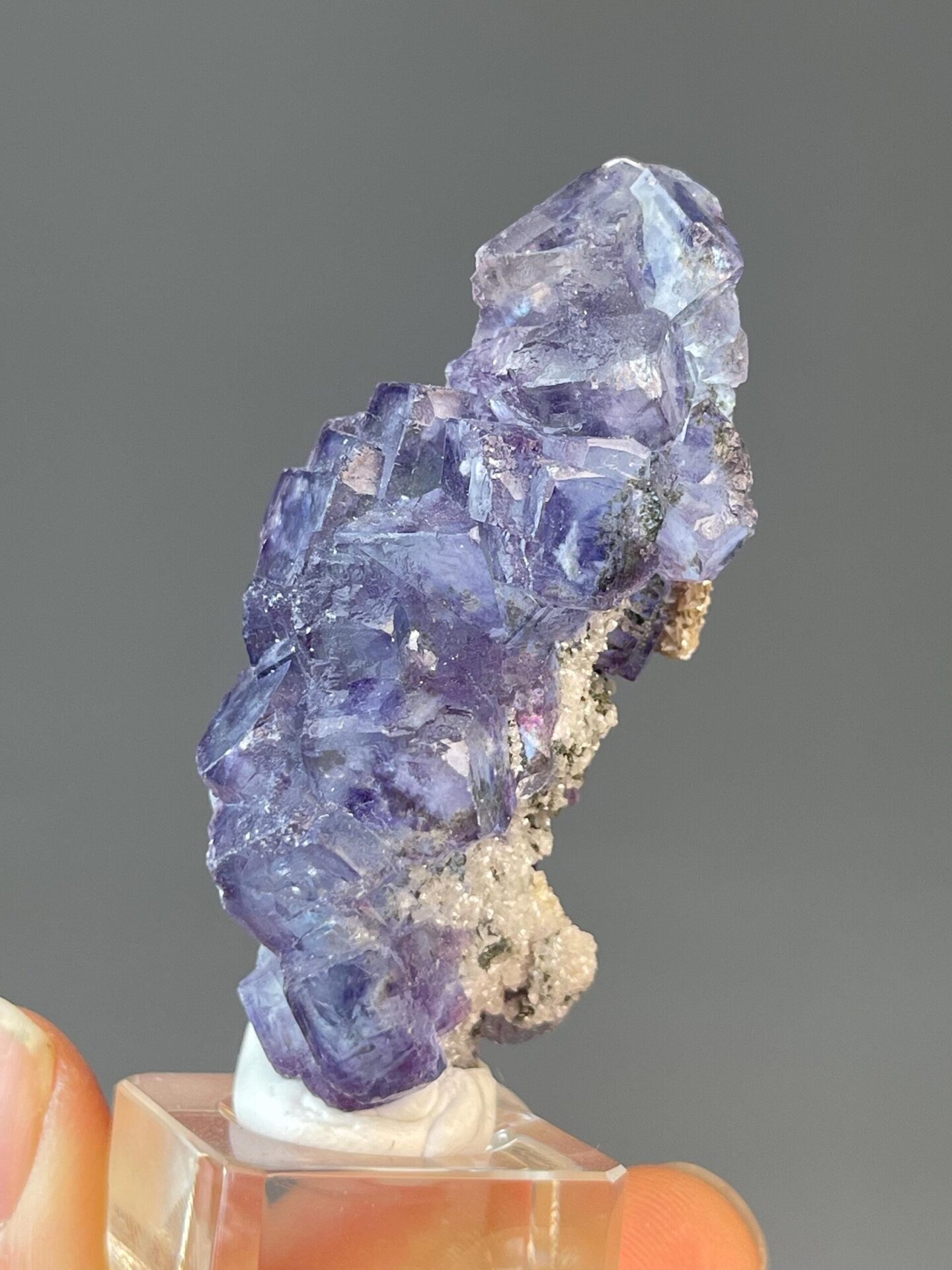 Twinned tree fluorite with purple phantom, 1.23 oz, vitreous luster