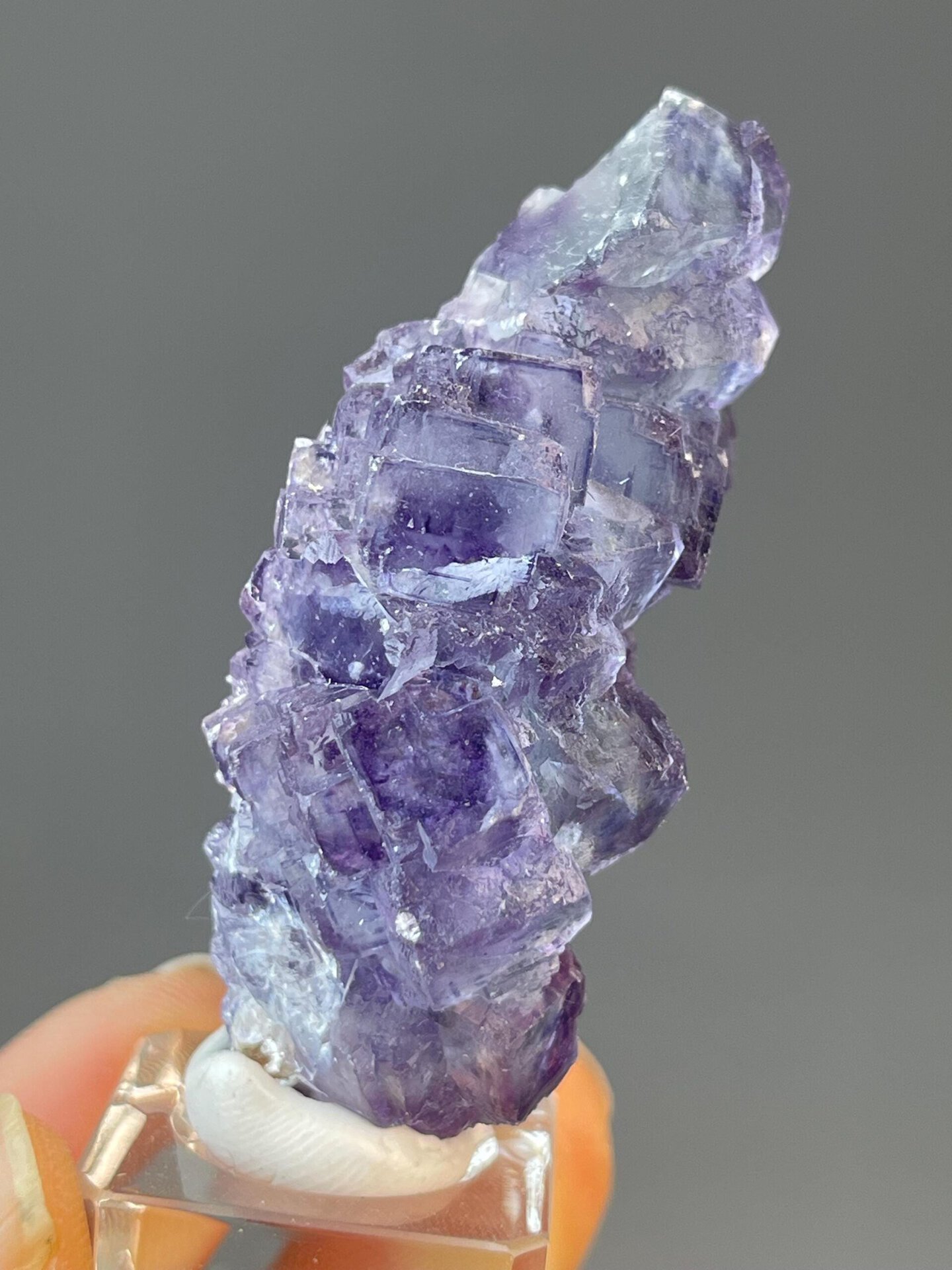 Twinned CaF₂ fluorite with purple phantom zones, tree form