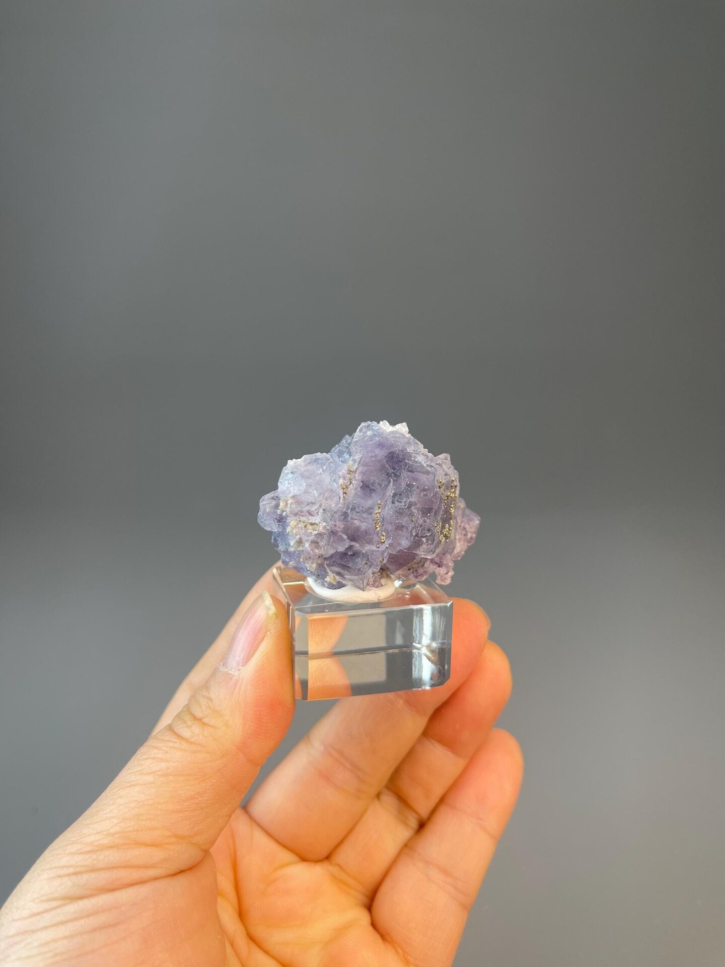Flower-shaped purple fluorite with associated pyrite crystals