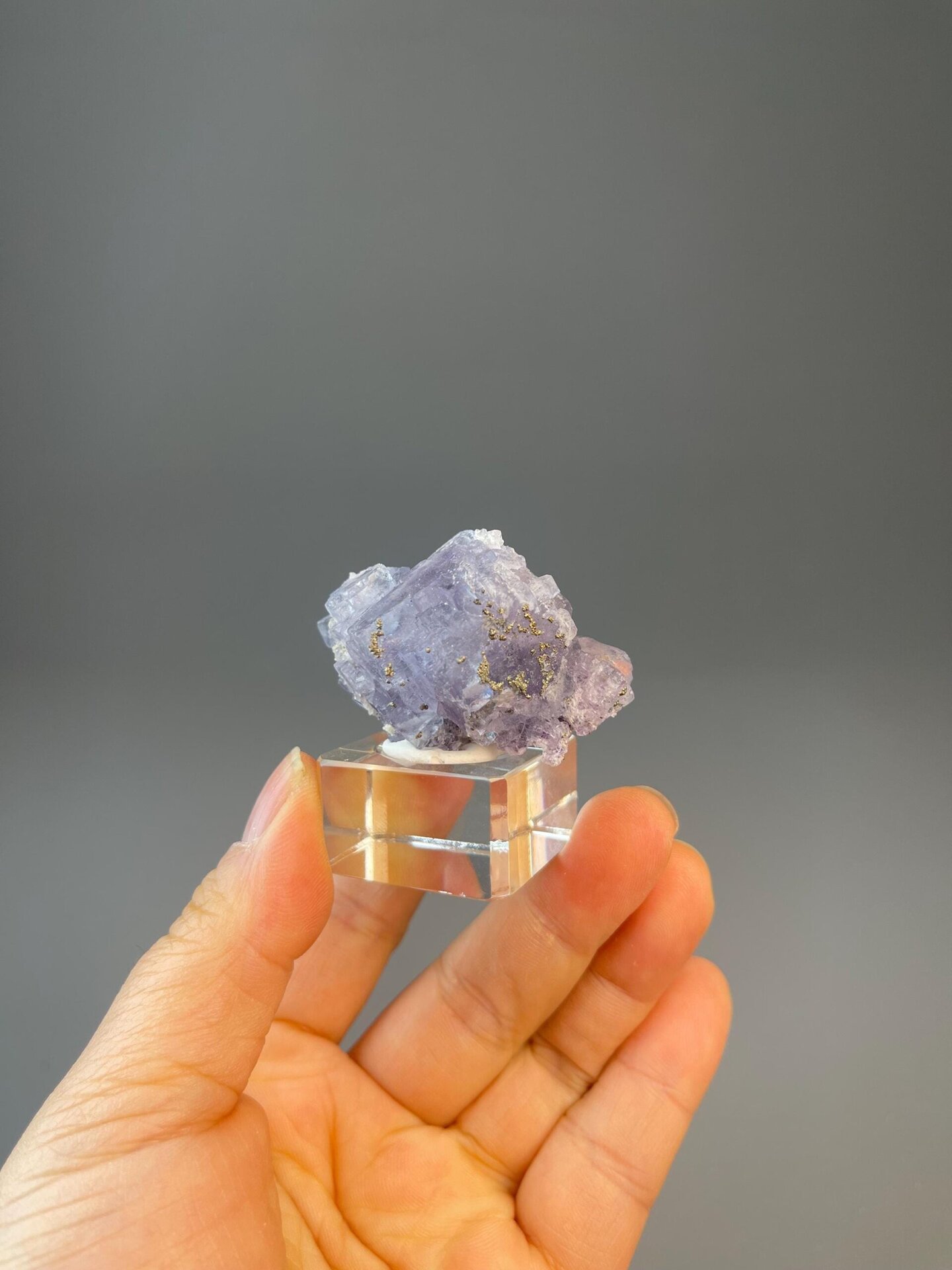 CaF₂ isometric purple fluorite in flower-like form with pyrite