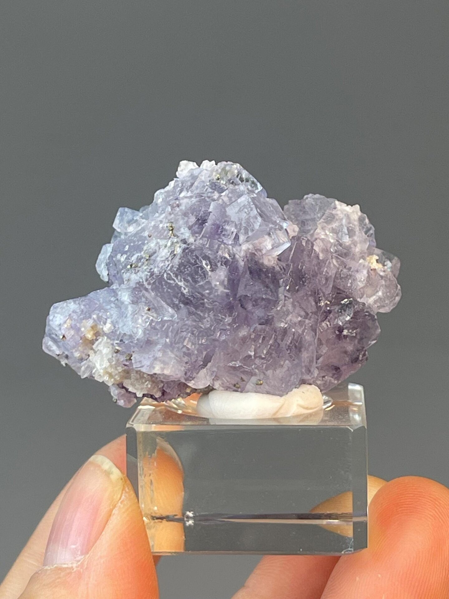 Multi-crystal purple fluorite forming floral pattern with pyrite