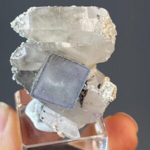 Blue Fluorite and Quartz Crystals - Transparent Cube and White Pillar - Yao Gang Xian - Collectible Gemstones