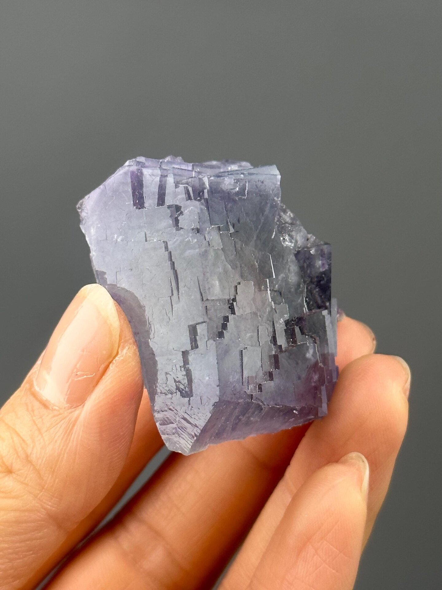Blue-edged purple phantom twinned fluorite, Yaogangxian, Hunan