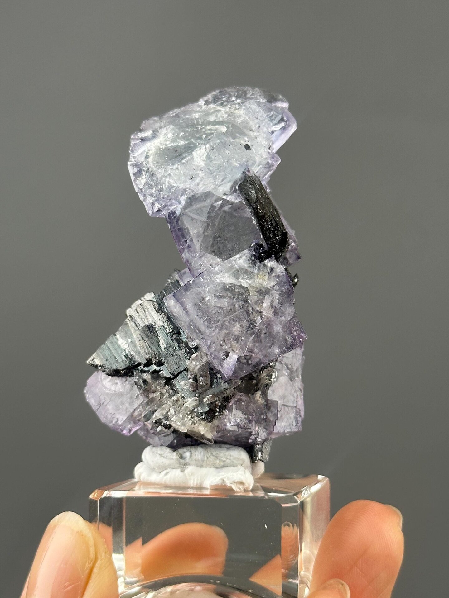 Front view of purple phantom fluorite with cassiterite inclusion