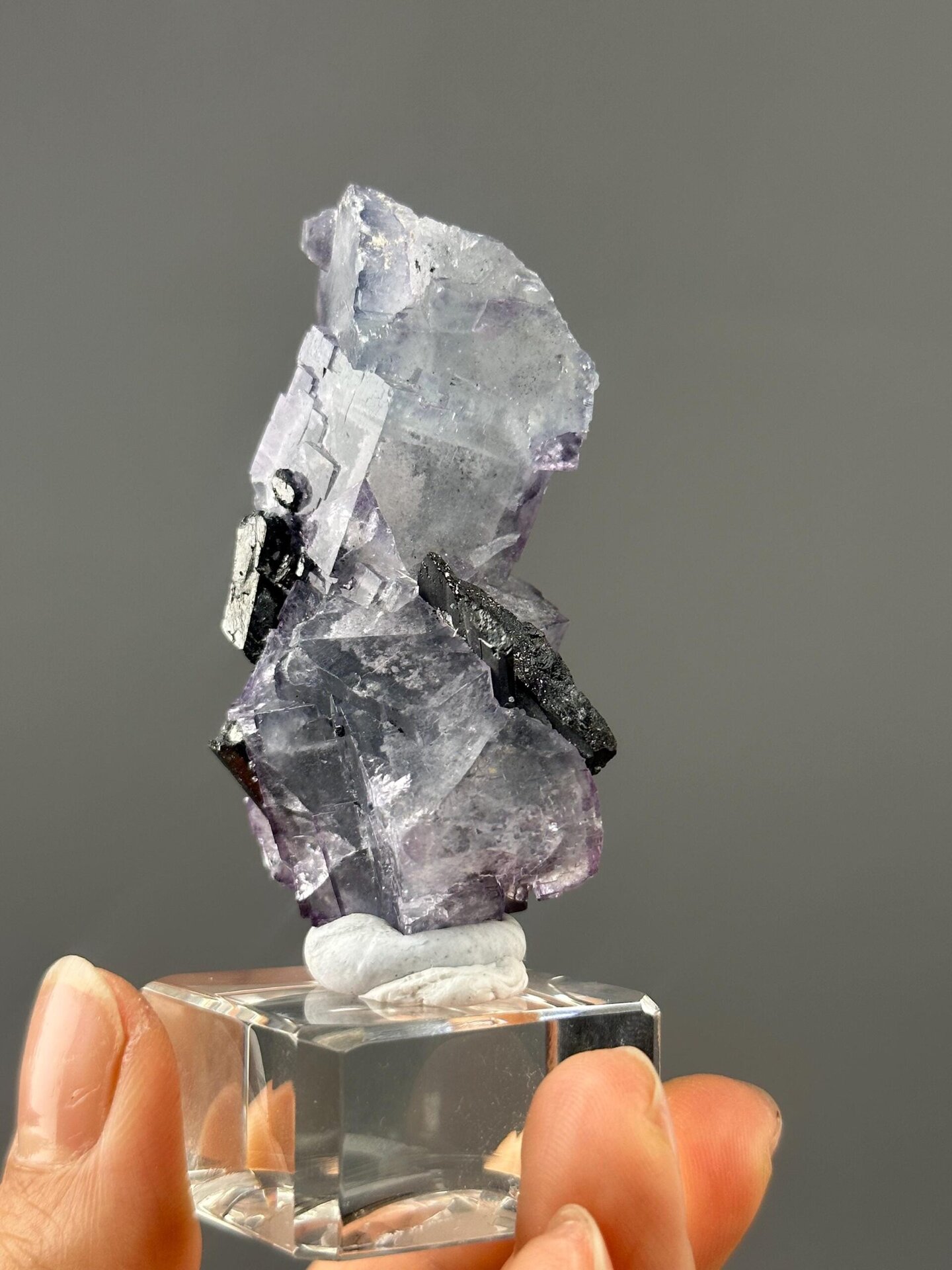Angled view of purple phantom fluorite showing cassiterite