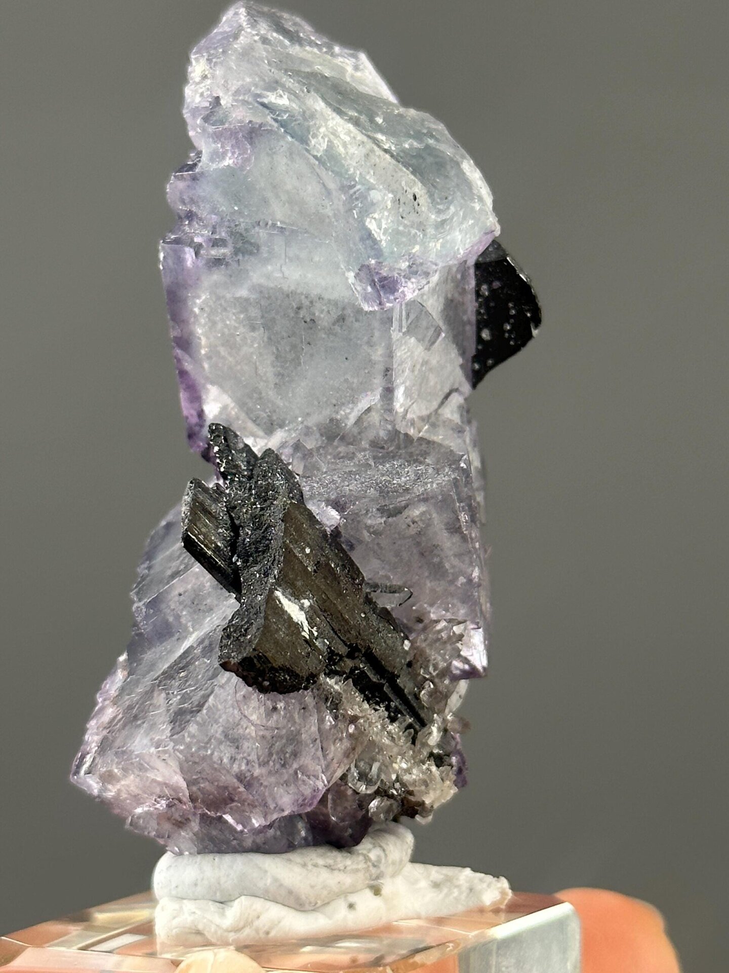Deep purple phantom fluorite with cassiterite, Yaogangxian Mine, Hunan