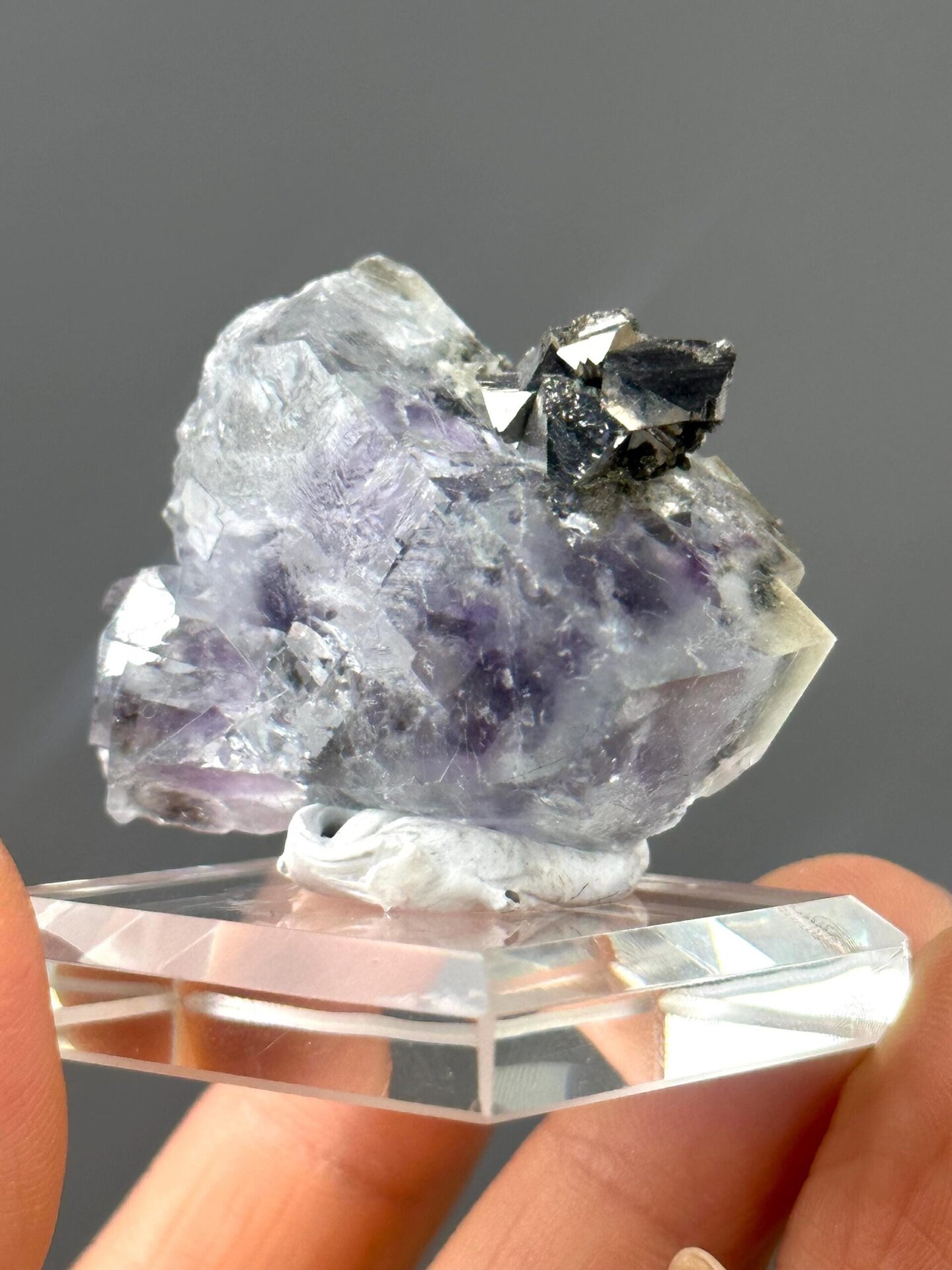 Front view of purple fluorite contrasting with golden pyrite