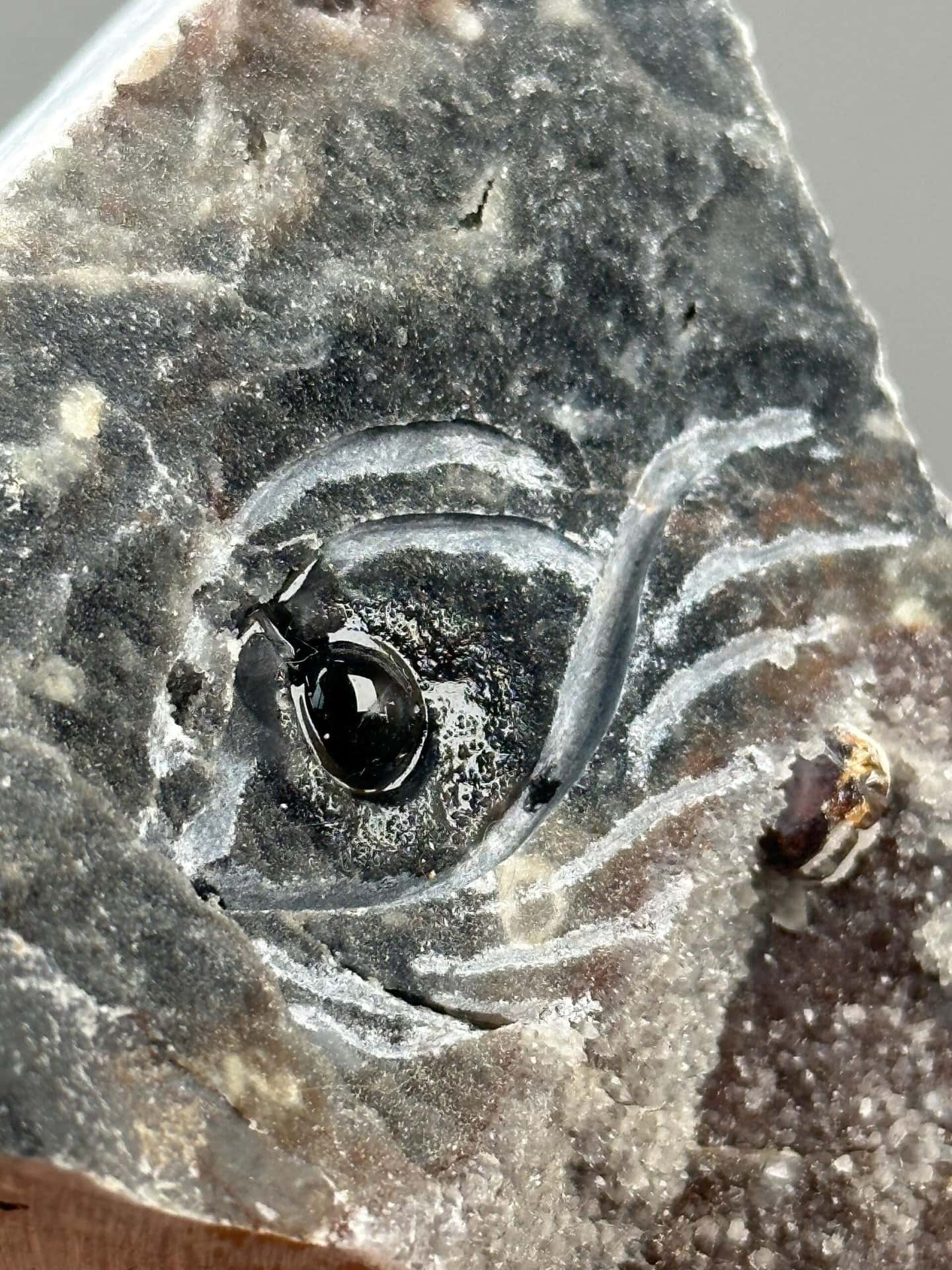 Agate specimen