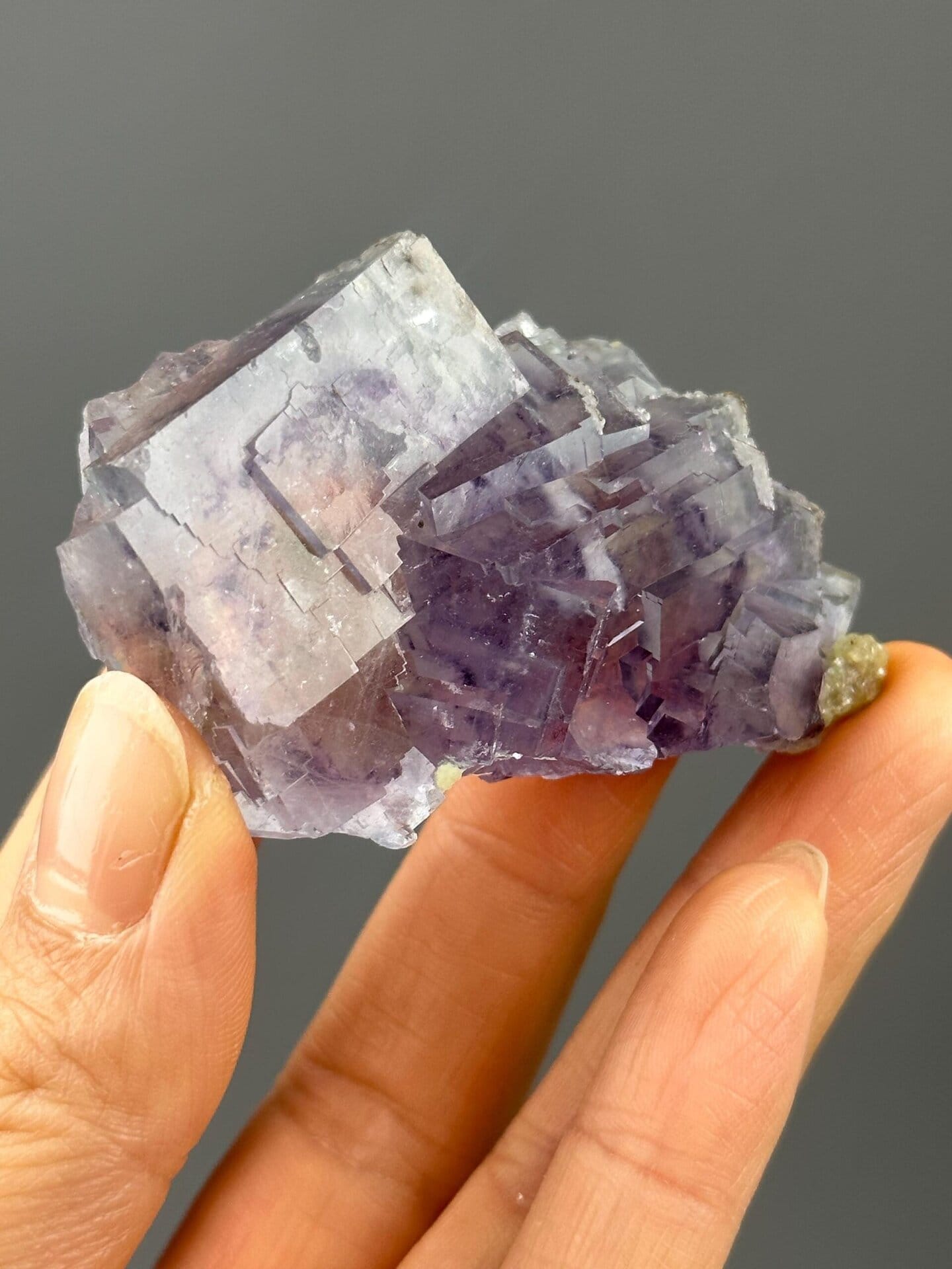 Close-up of deep purple fluorite showing vitreous luster