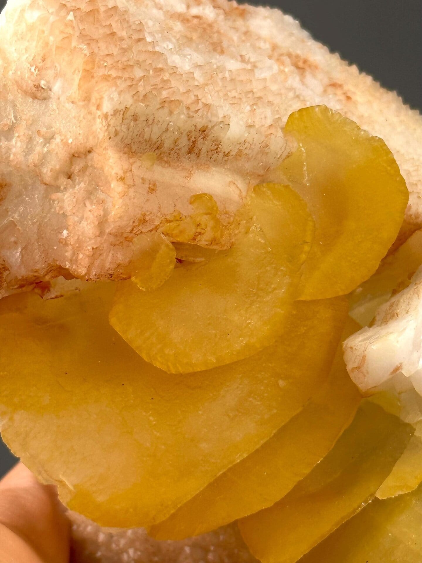 Side view of potato calcite cluster, 9.6×4.5×4 in