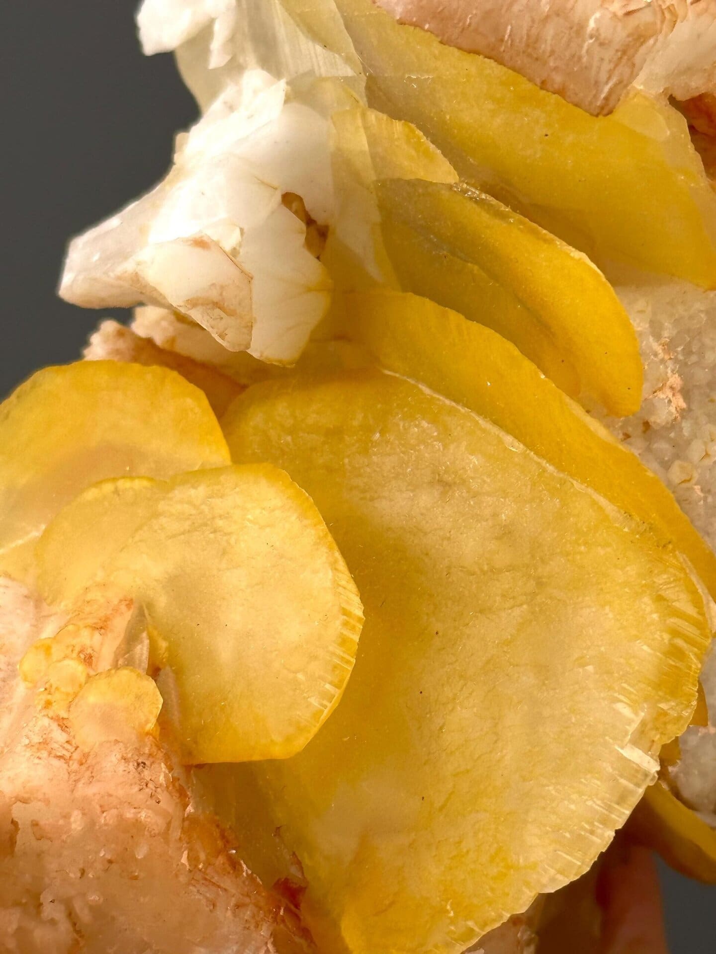 Front view of yellow calcite showing distinctive potato botryoidal form