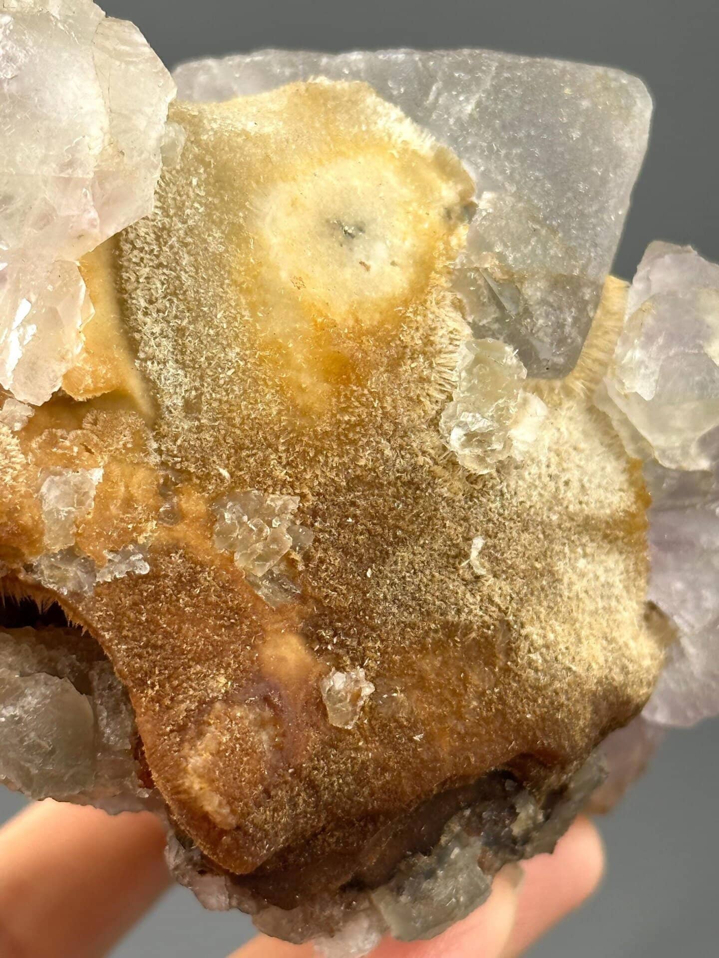 Top view of fluorite cluster showing multi-coloured phantoms