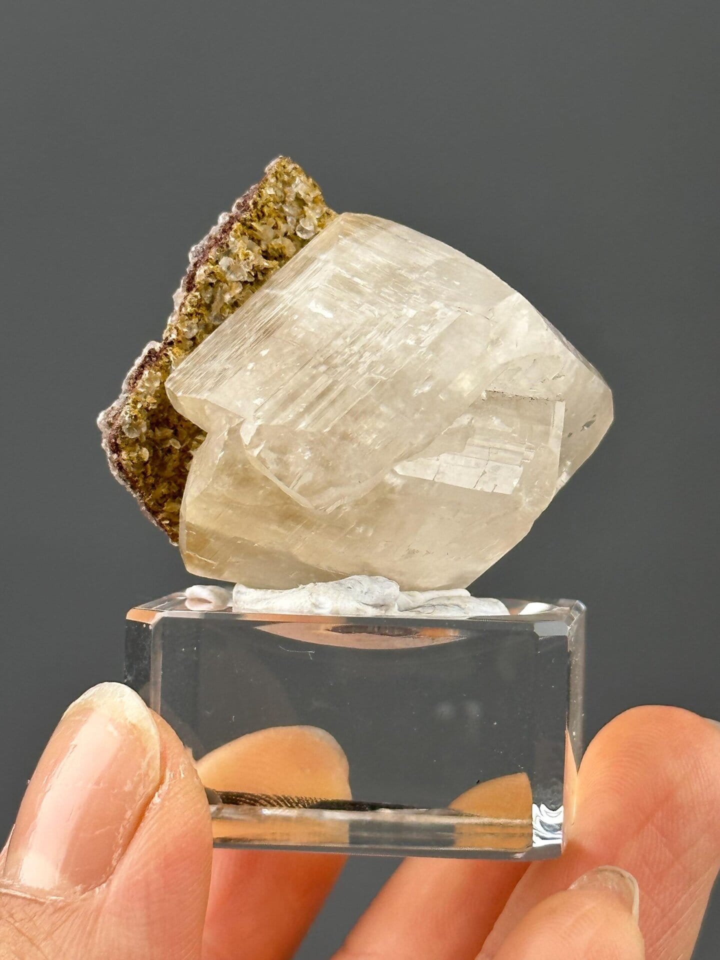 Front view of yellow calcite showing vivid colour