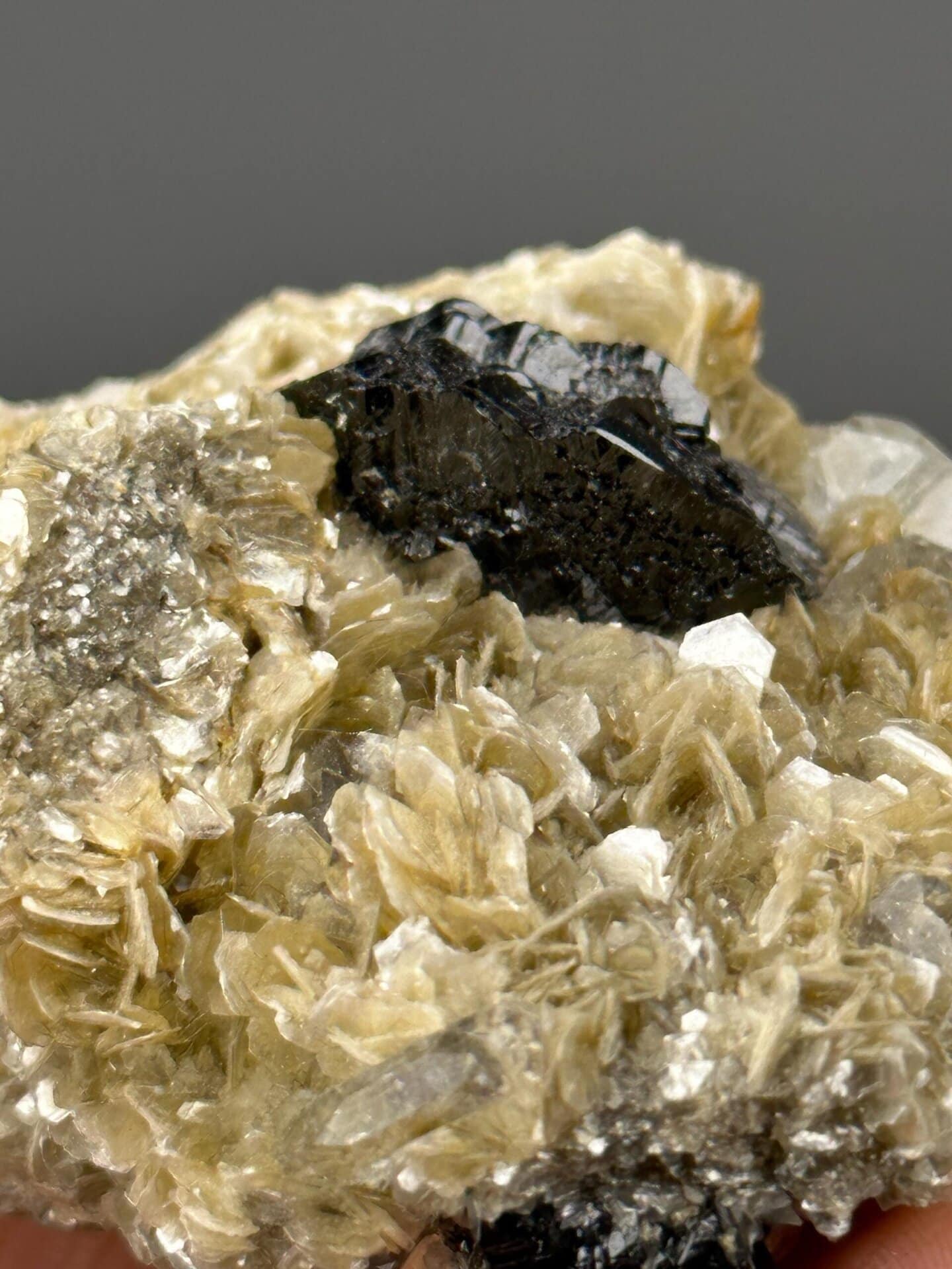 Top view of cassiterite-aquamarine-mica association