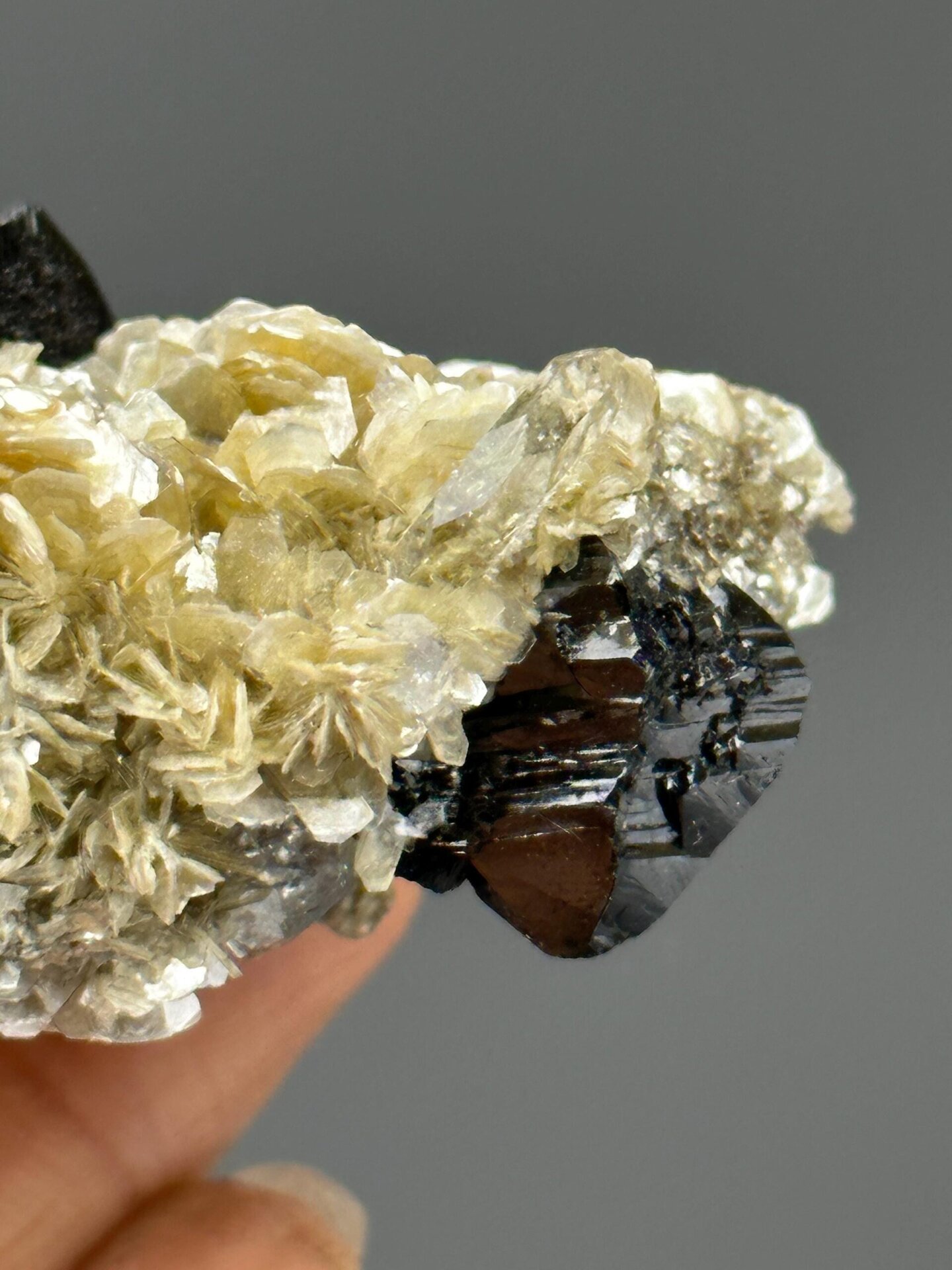 Angled view showing mica shimmer on Xuebaoding cassiterite