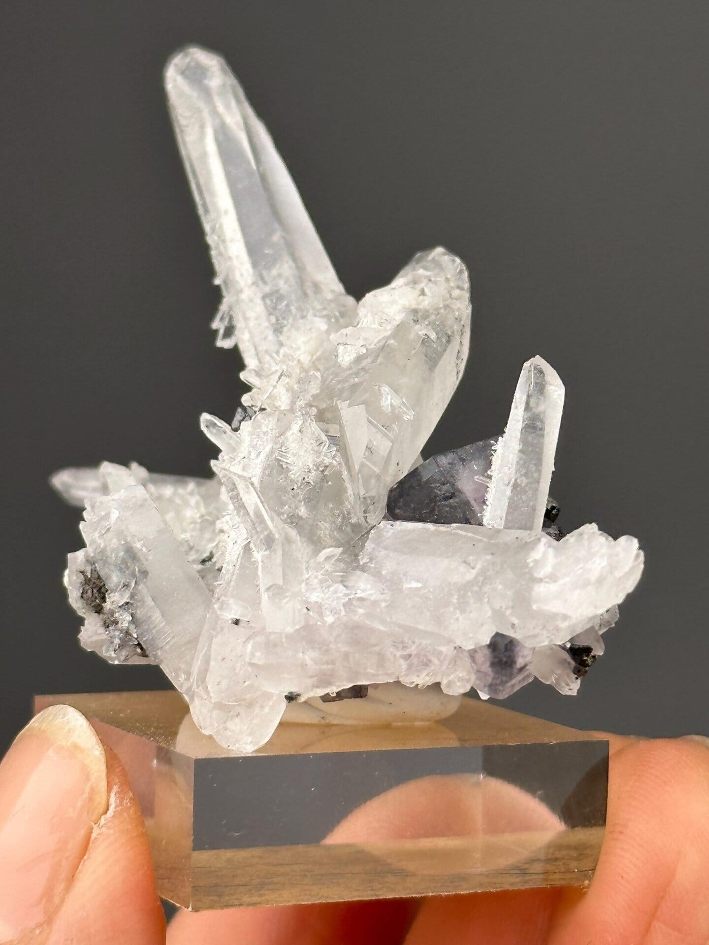 Detail of fluorite gem within cassiterite-quartz matrix