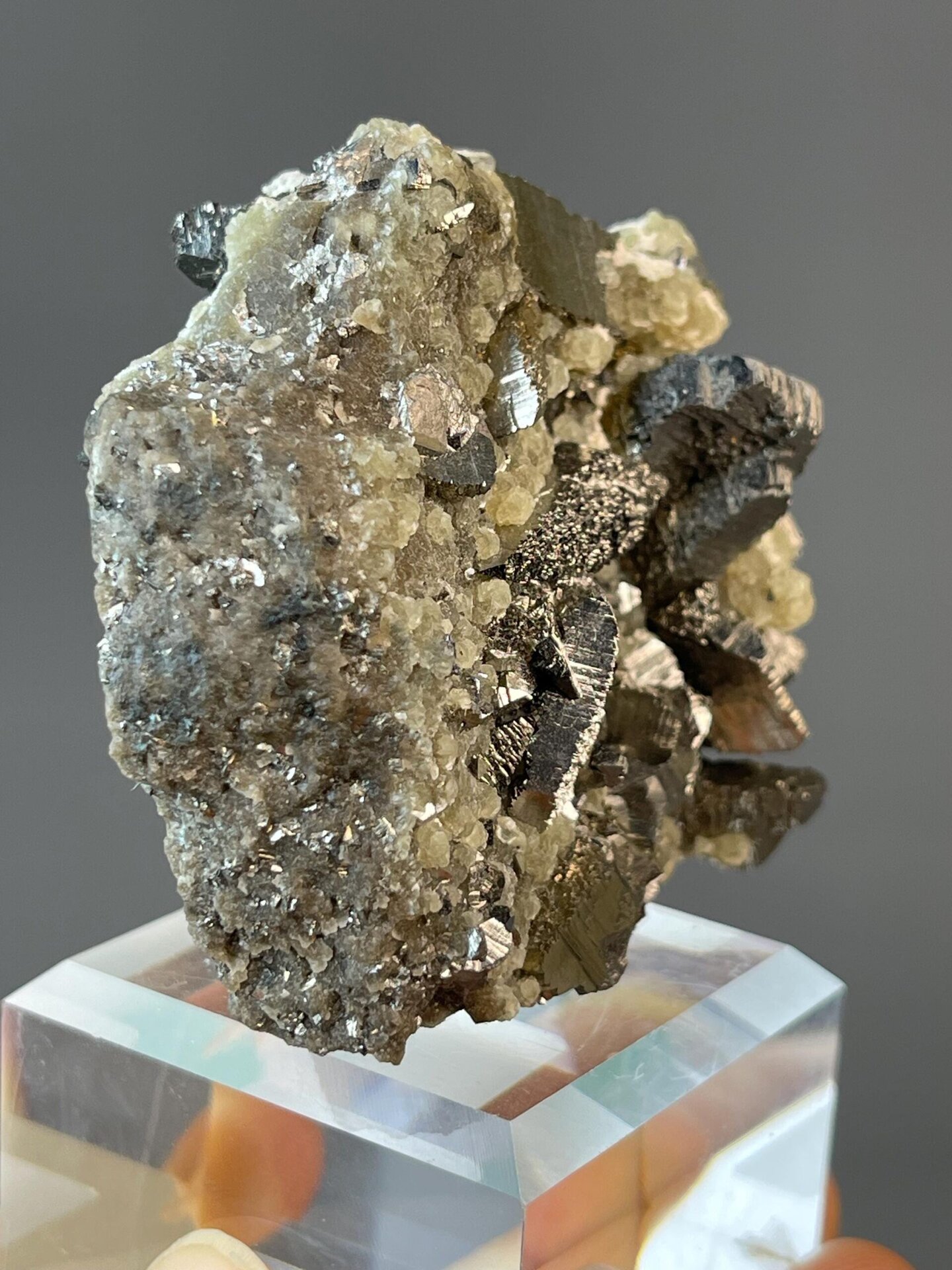 Collector sulfide specimen with chalcopyrite and pyrite