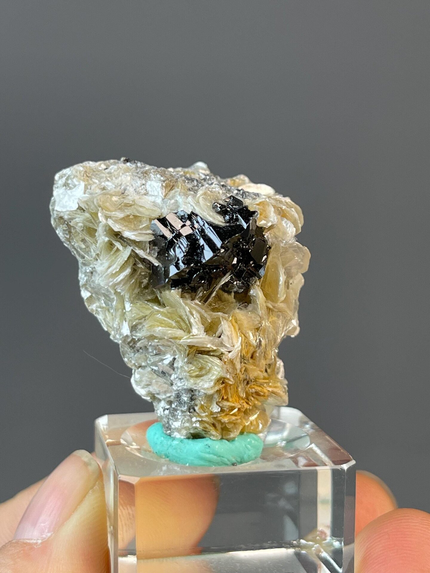 Cassiterite and mica mineral association from Xuebaoding