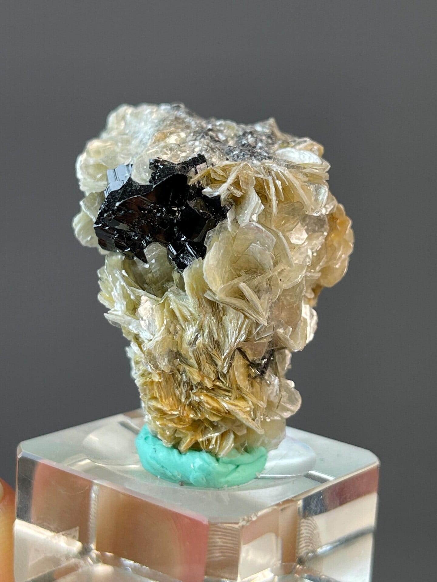 Metallic luster cassiterite with monoclinic mica matrix