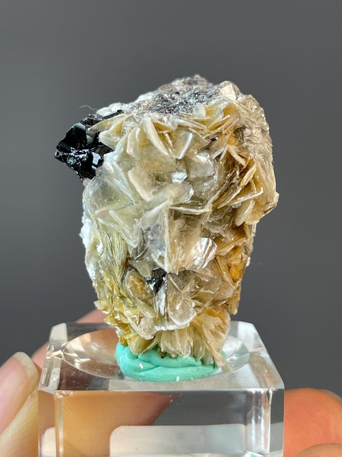 Black prismatic cassiterite on silvery mica from Sichuan