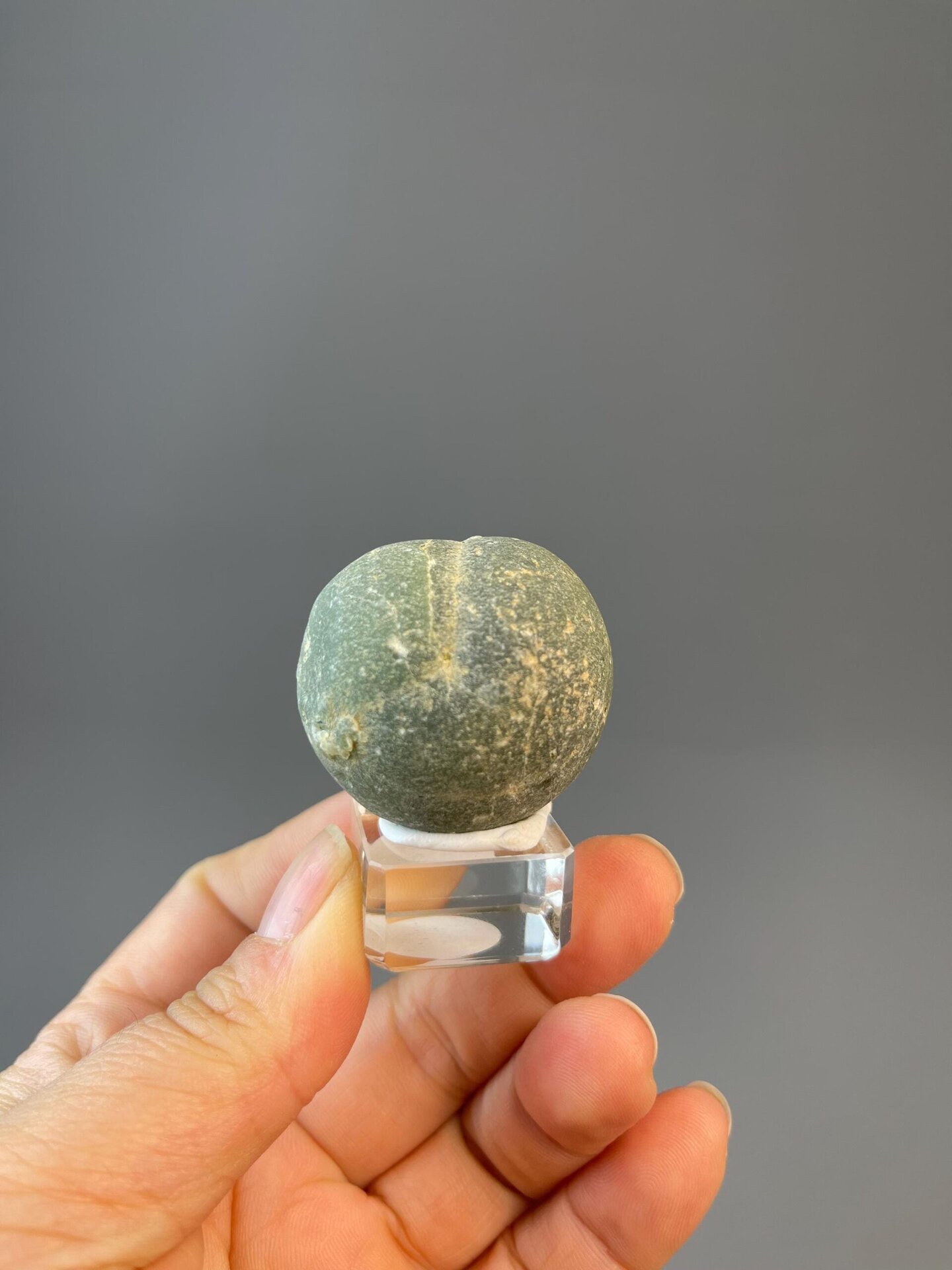 Prehnite botryoidal habit and coloration close-up