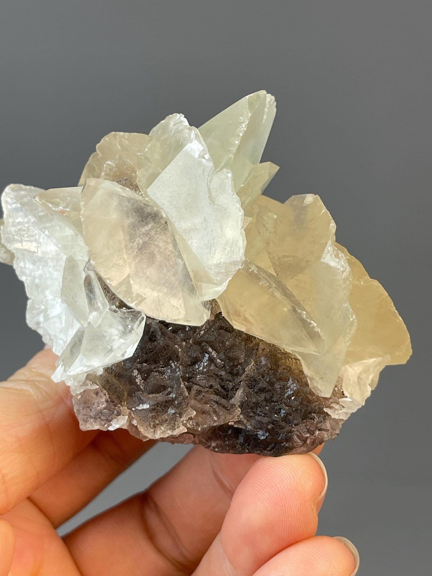 Petal-like calcite stalactitic structure detail