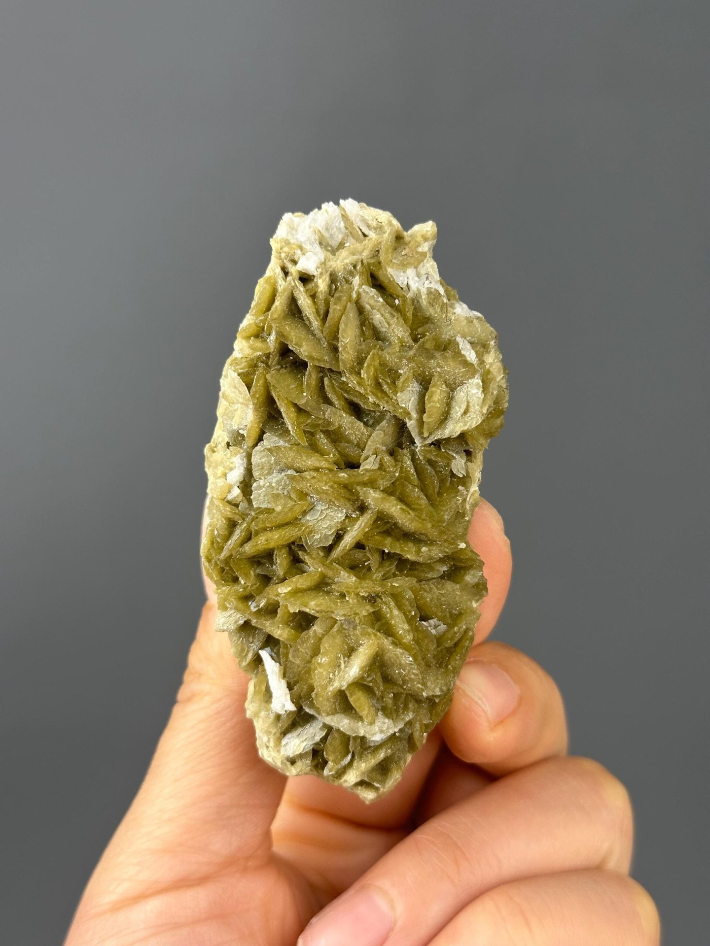 Full view of siderite dolomite matrix specimen